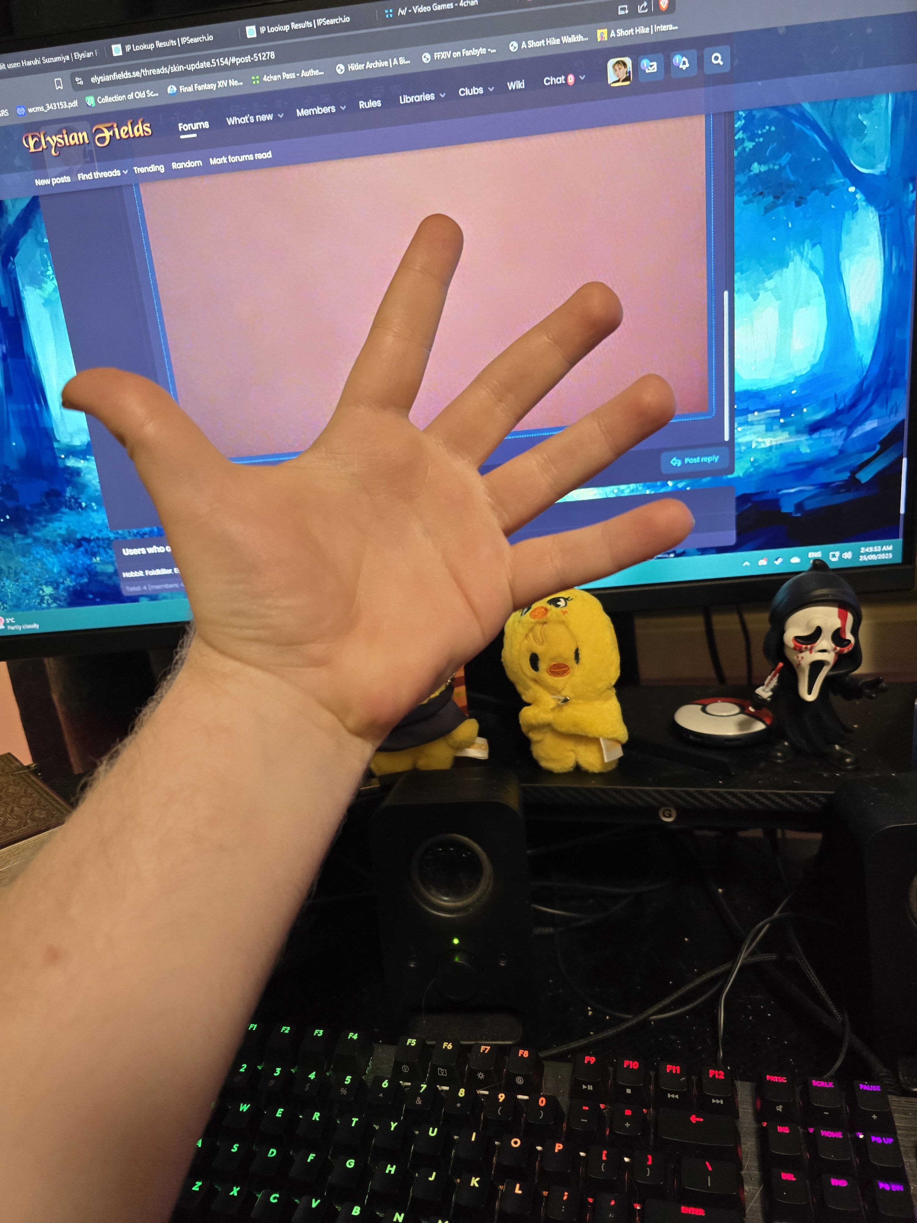 1000043417