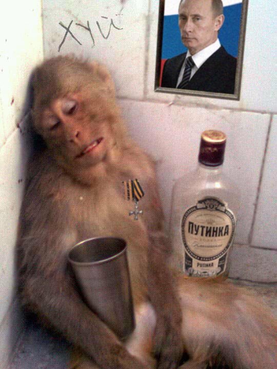 14af94d8 db78 4fe8 977b 8e9fc8ce6331