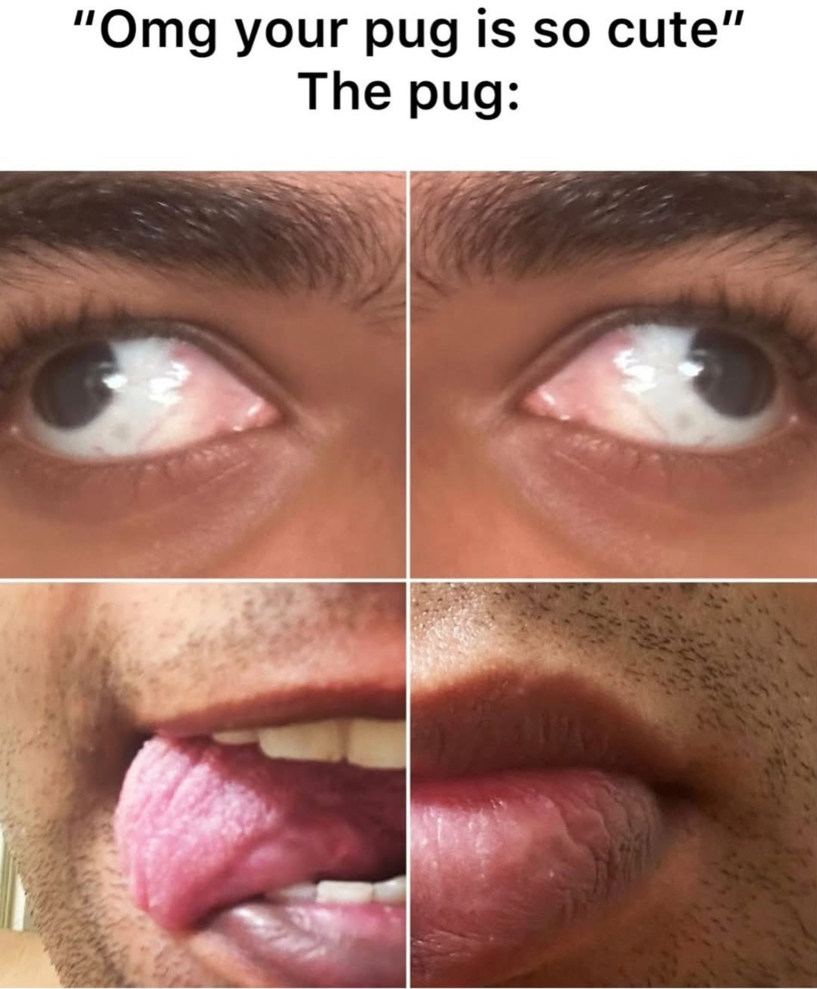 1759269632360