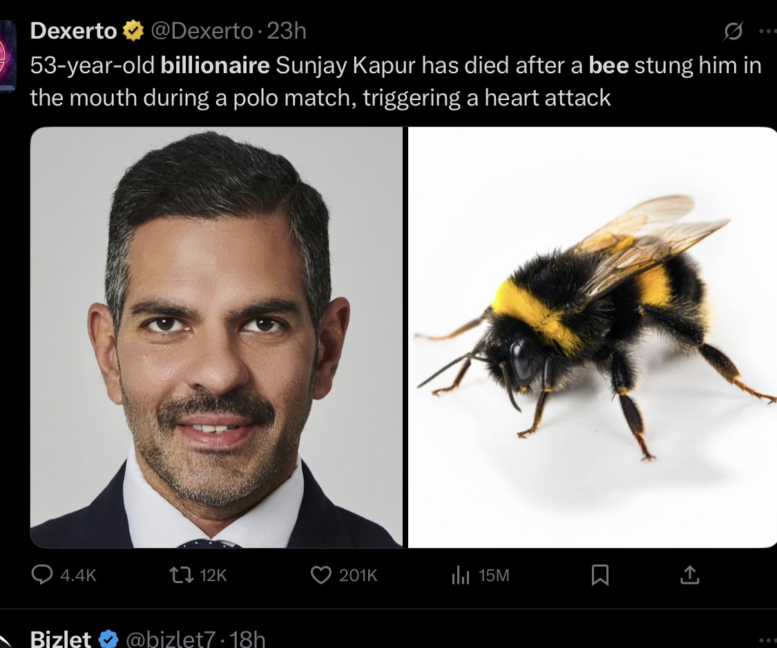 1761910584247 1761910584247