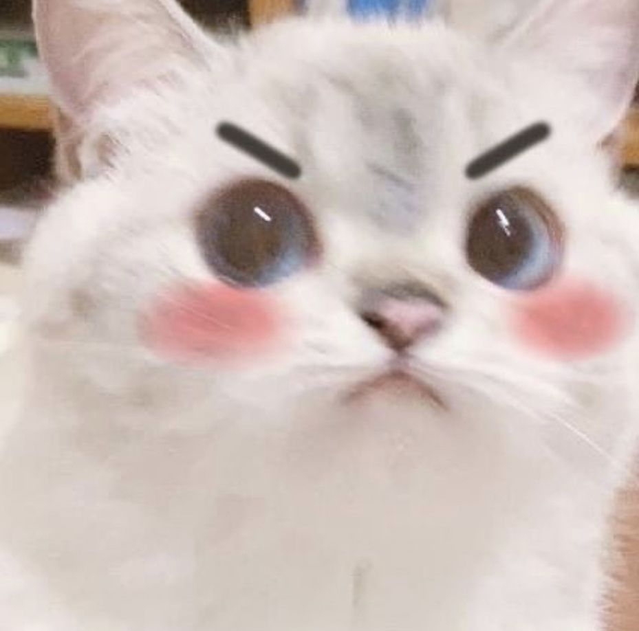 1777898243091520