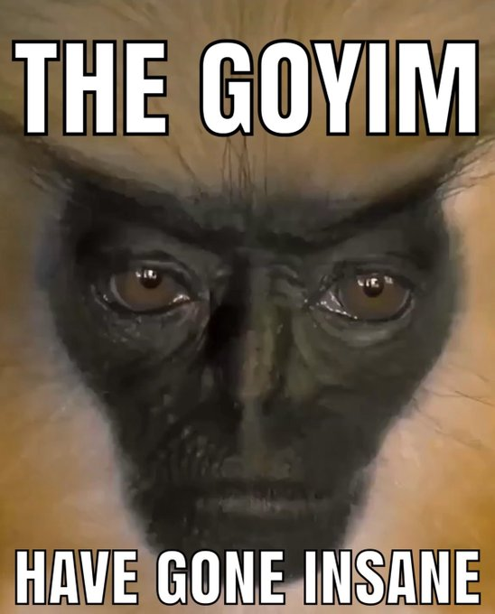 1778179817715830