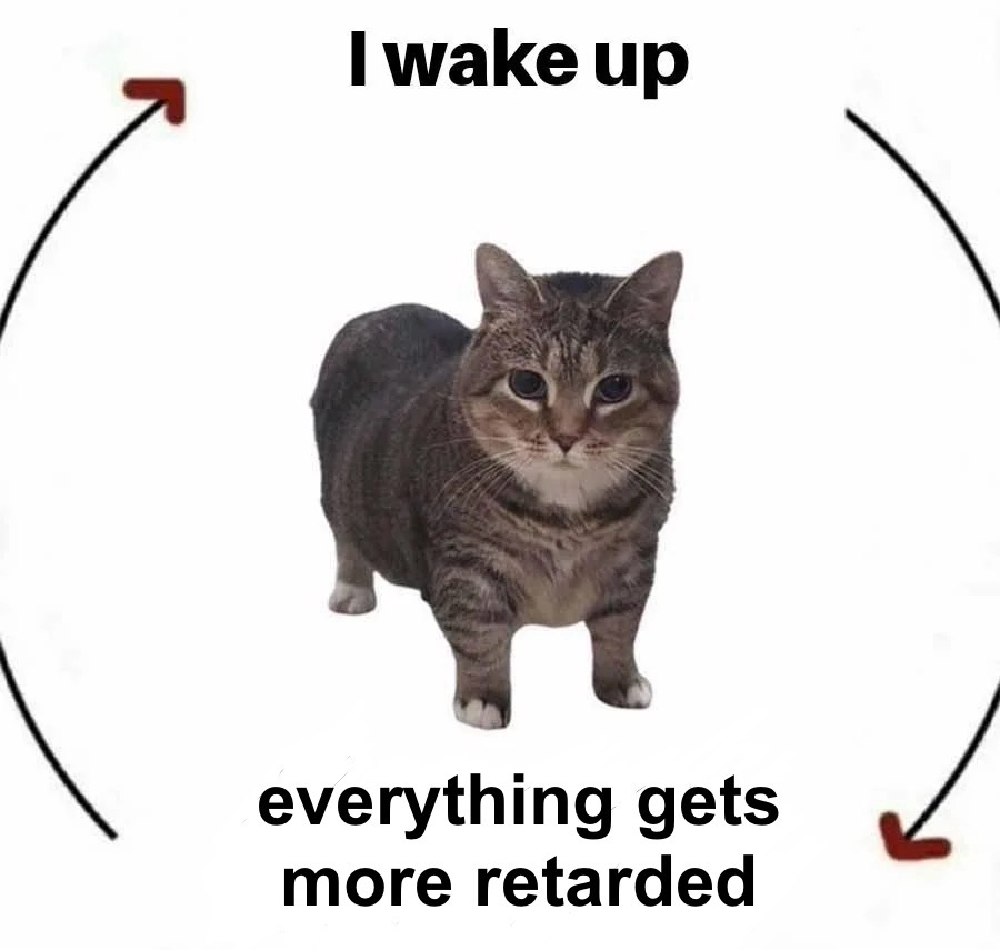 1778254232585082