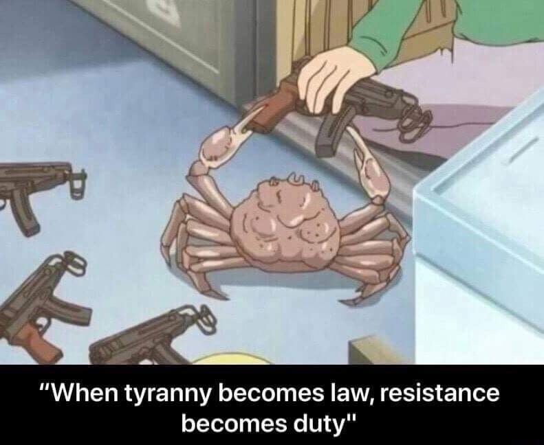 1778843242781082