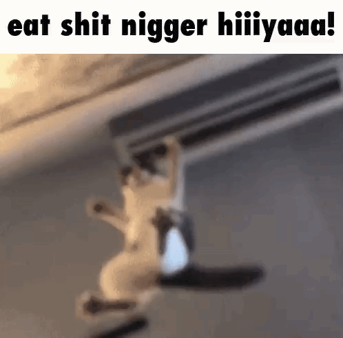 1779134250554973