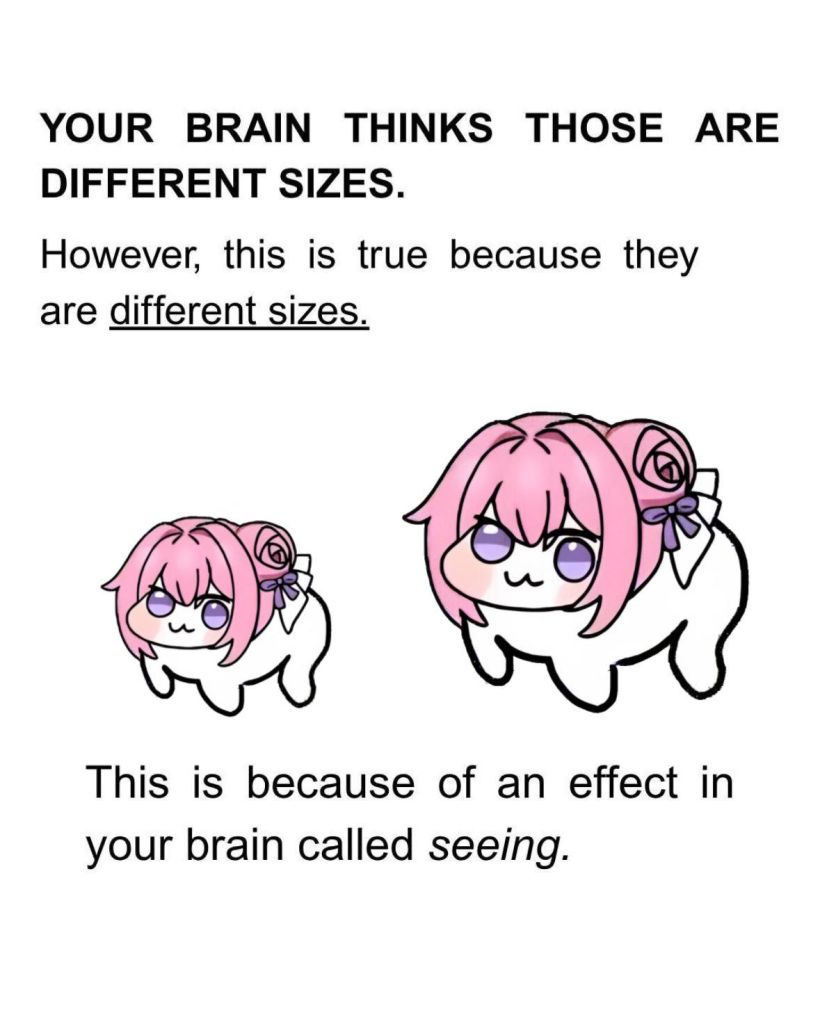 1779245578977105m