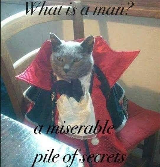 5e5cf85f3a7858d491ee0fcd34fbc064