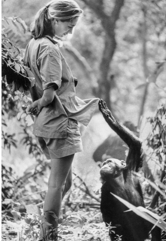 61BEA159 5FB2 4C33 AE9F 2EE1285CCD4C