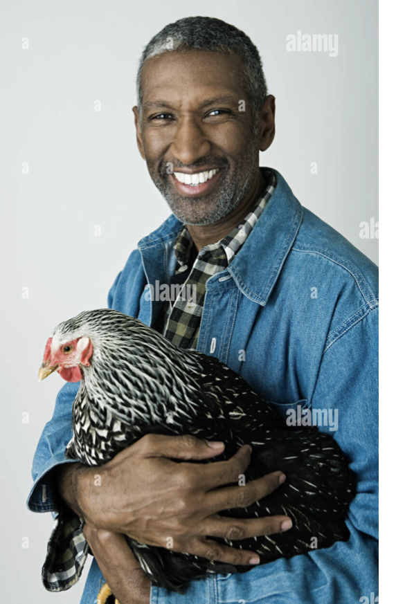 BB7A37D0 2A72 4D47 8568 C00EE6557158