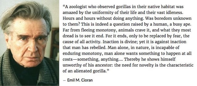 Better to be an animal than a man an insect than an animal v0 ihp8nib2ncla1