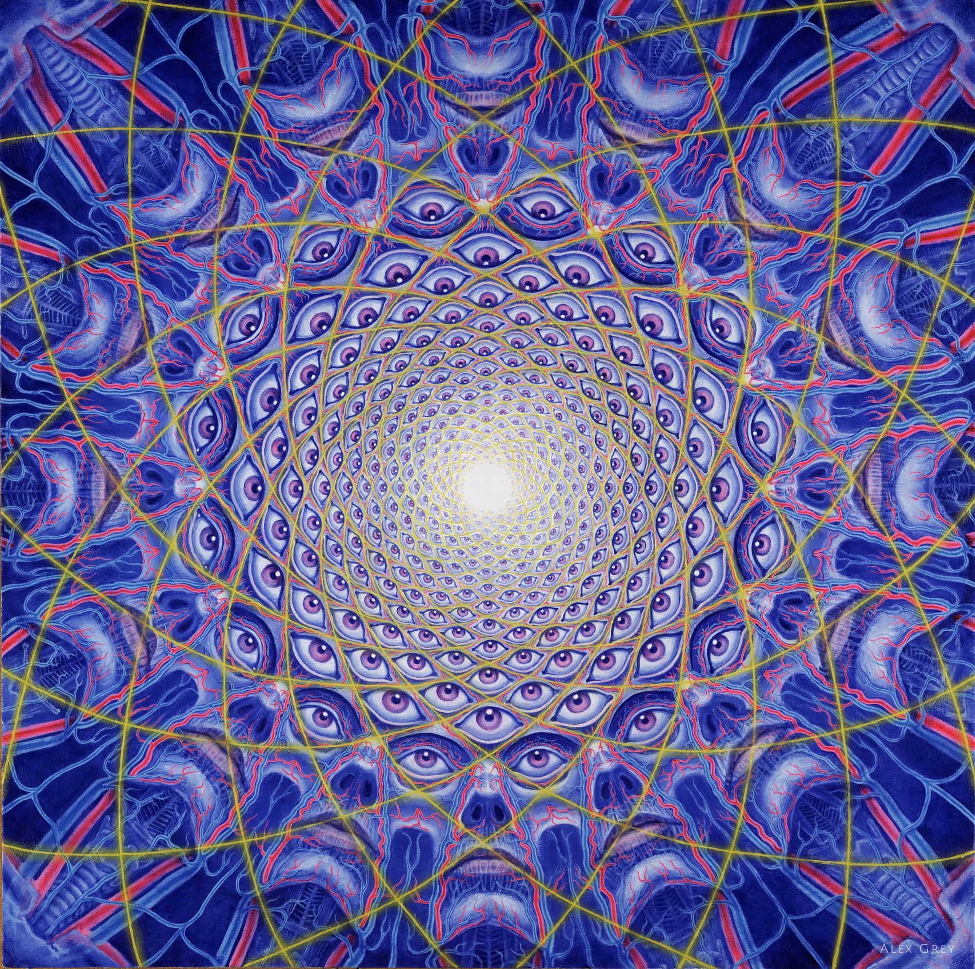 Collective Vision 1995 Alex Grey watermarked