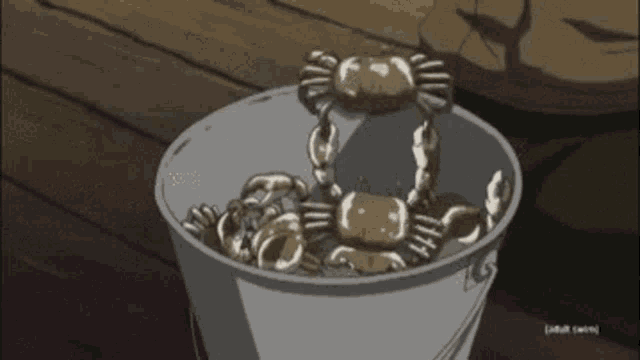 Crabs bucket