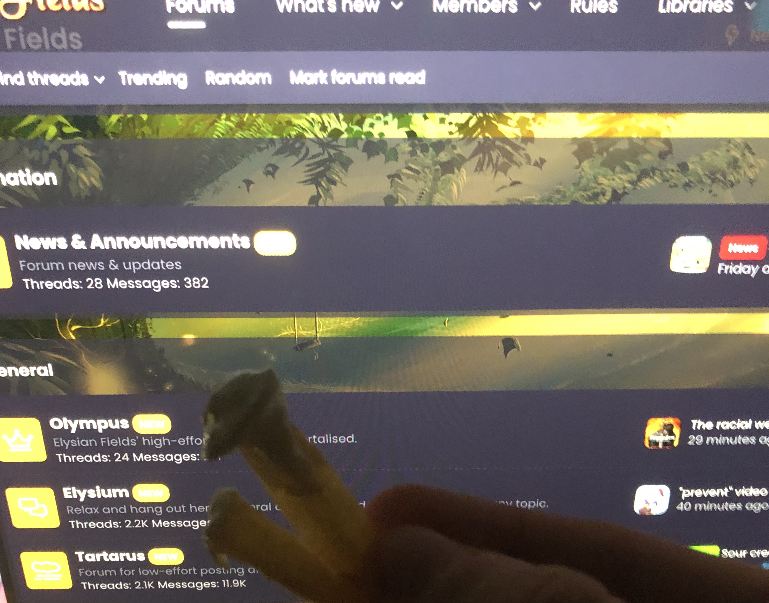 F0004864 D251 4A19 AE26 6D7249AD34AF