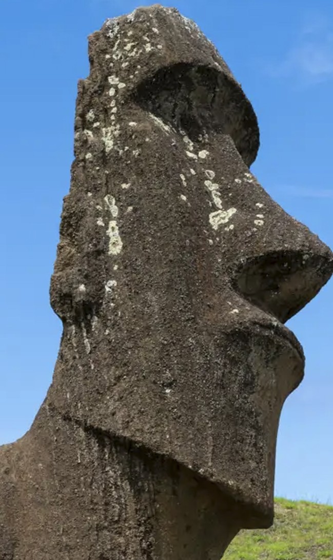 Face