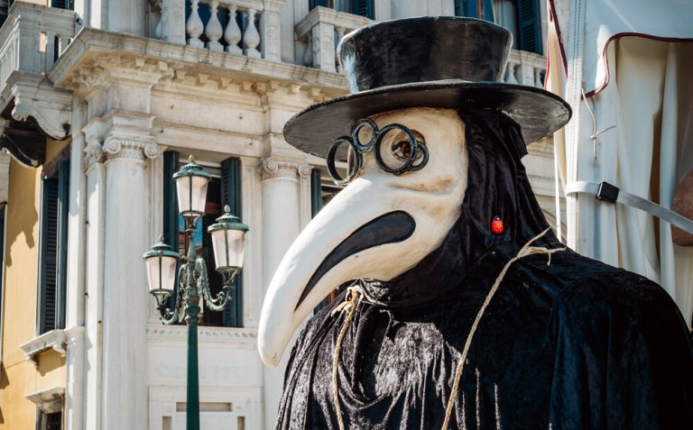 Historic mask of the Venetian doctor 1410385220