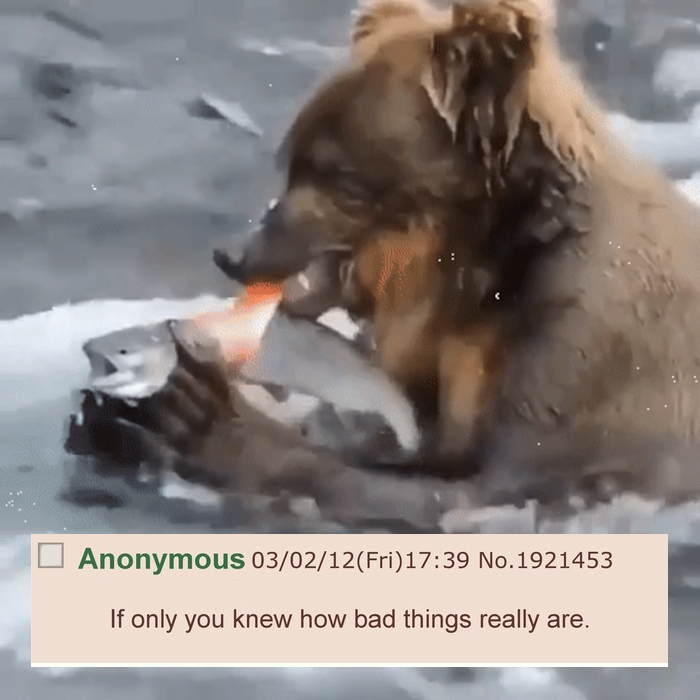 How bad bears are