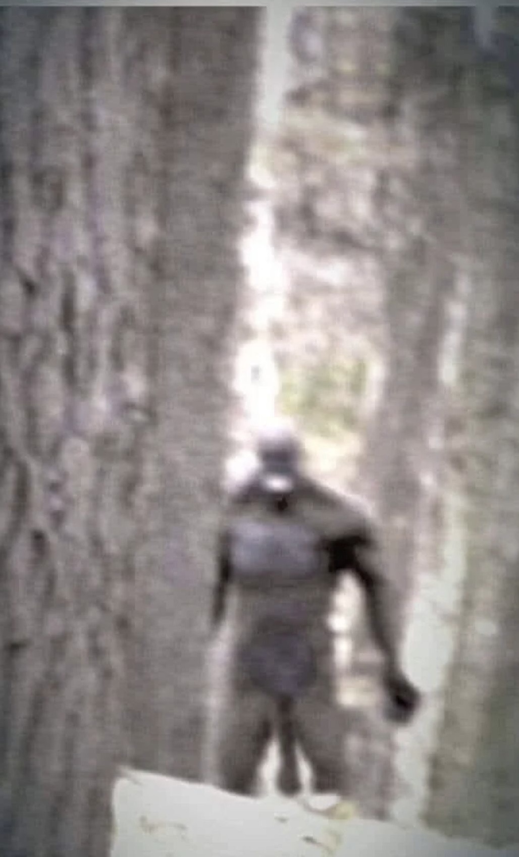 IMG 0215