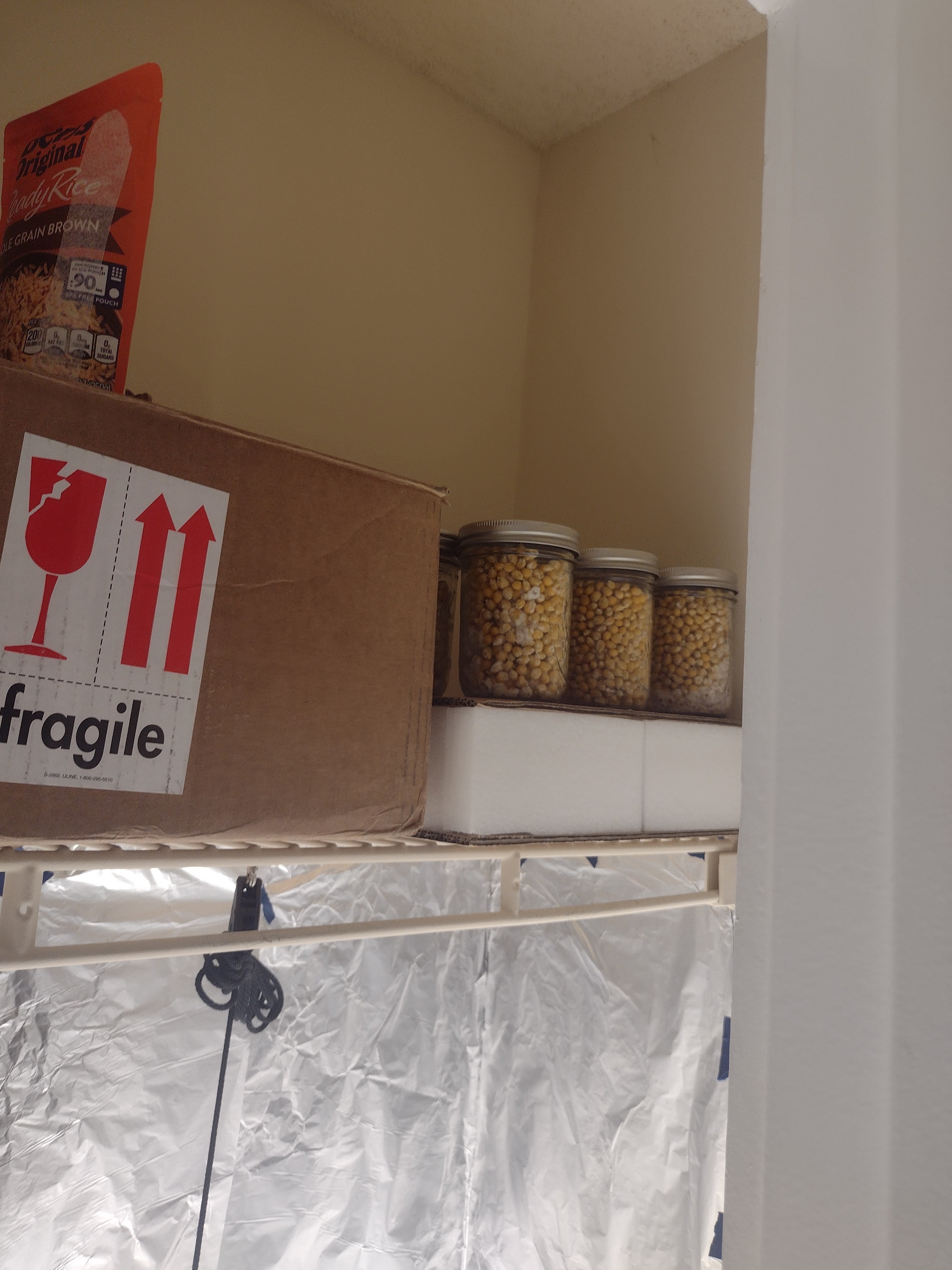 IMG 20230129 135105599