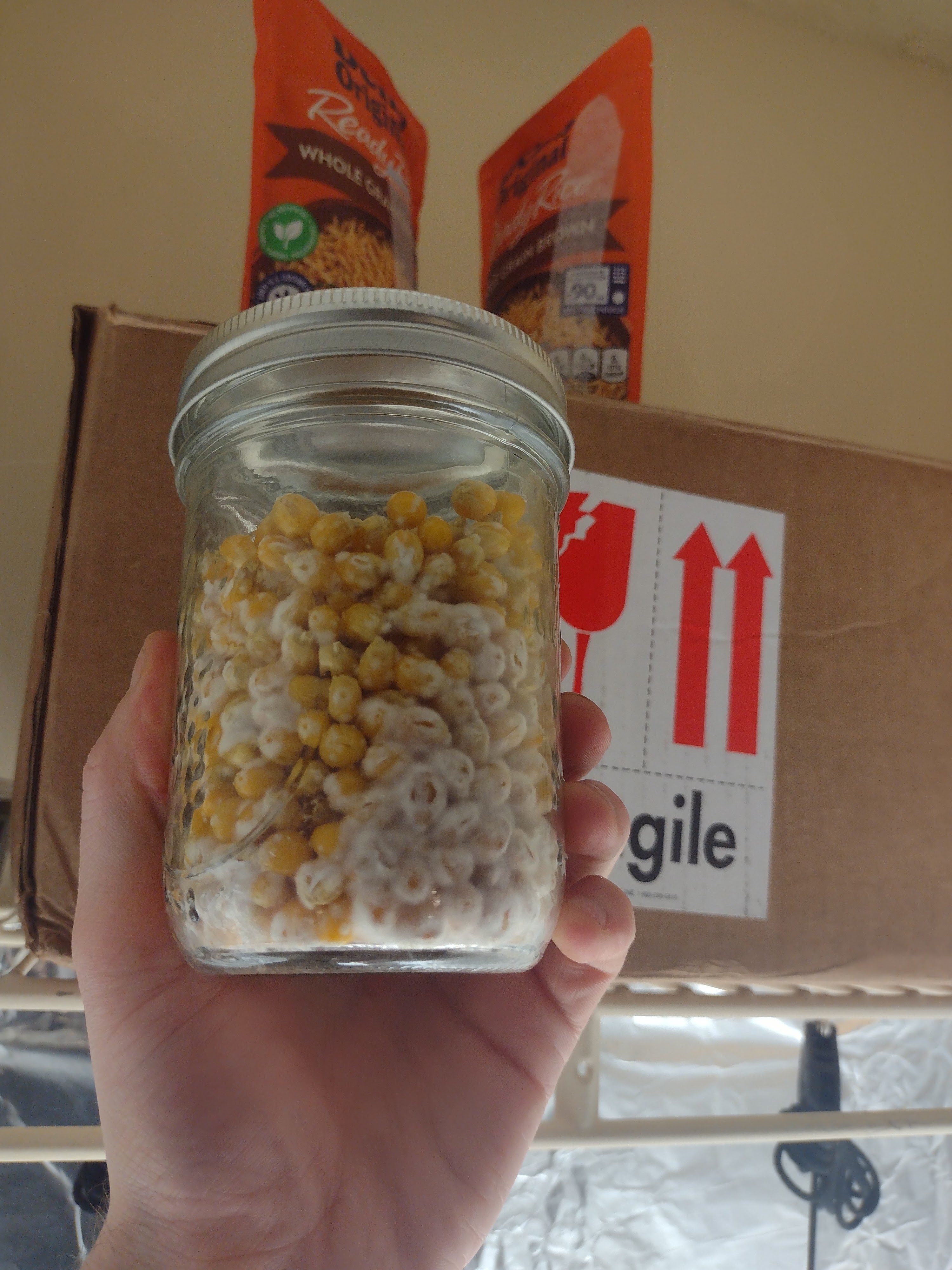 IMG 20230129 135121691