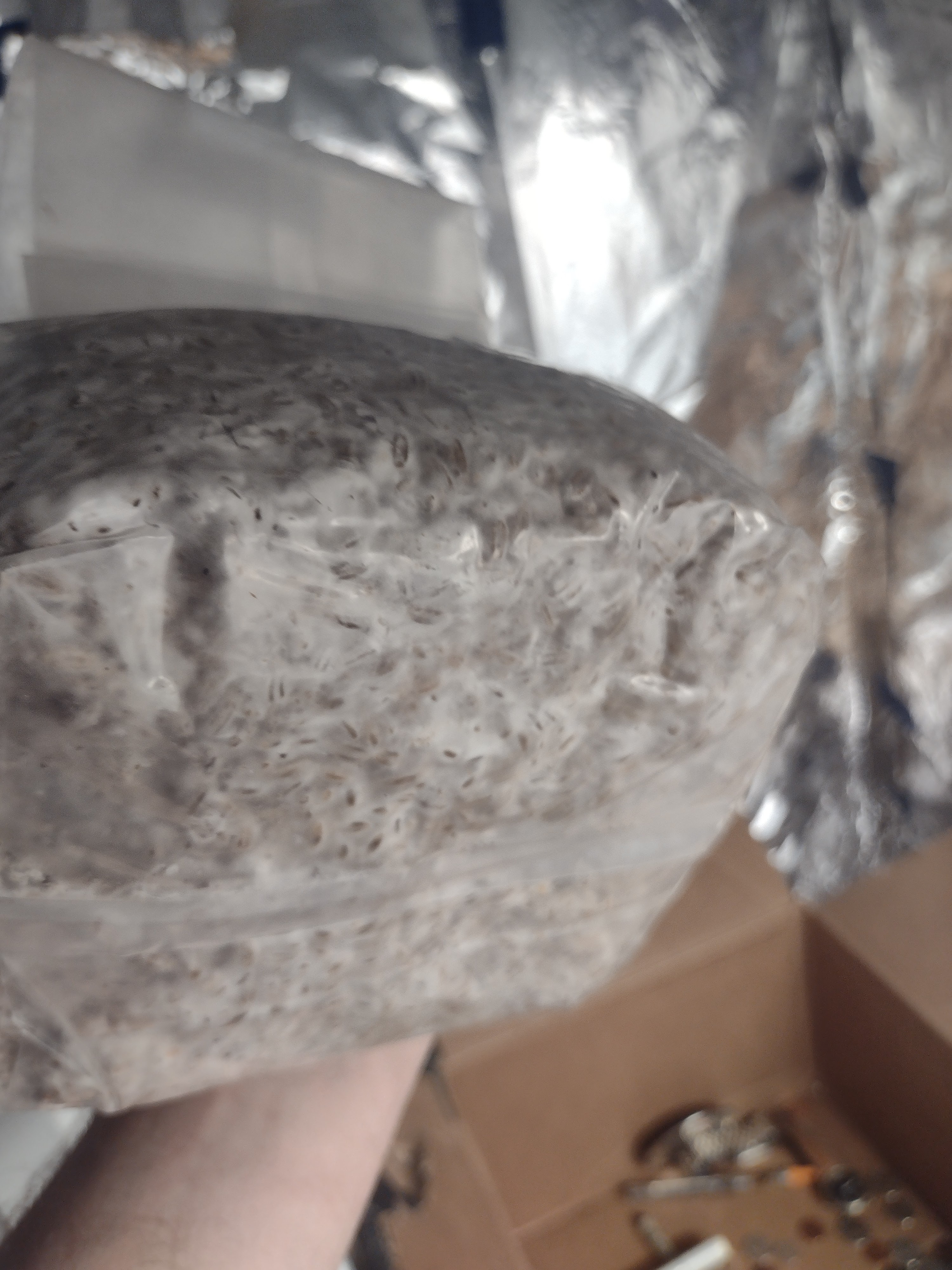 IMG 20230215 141357596