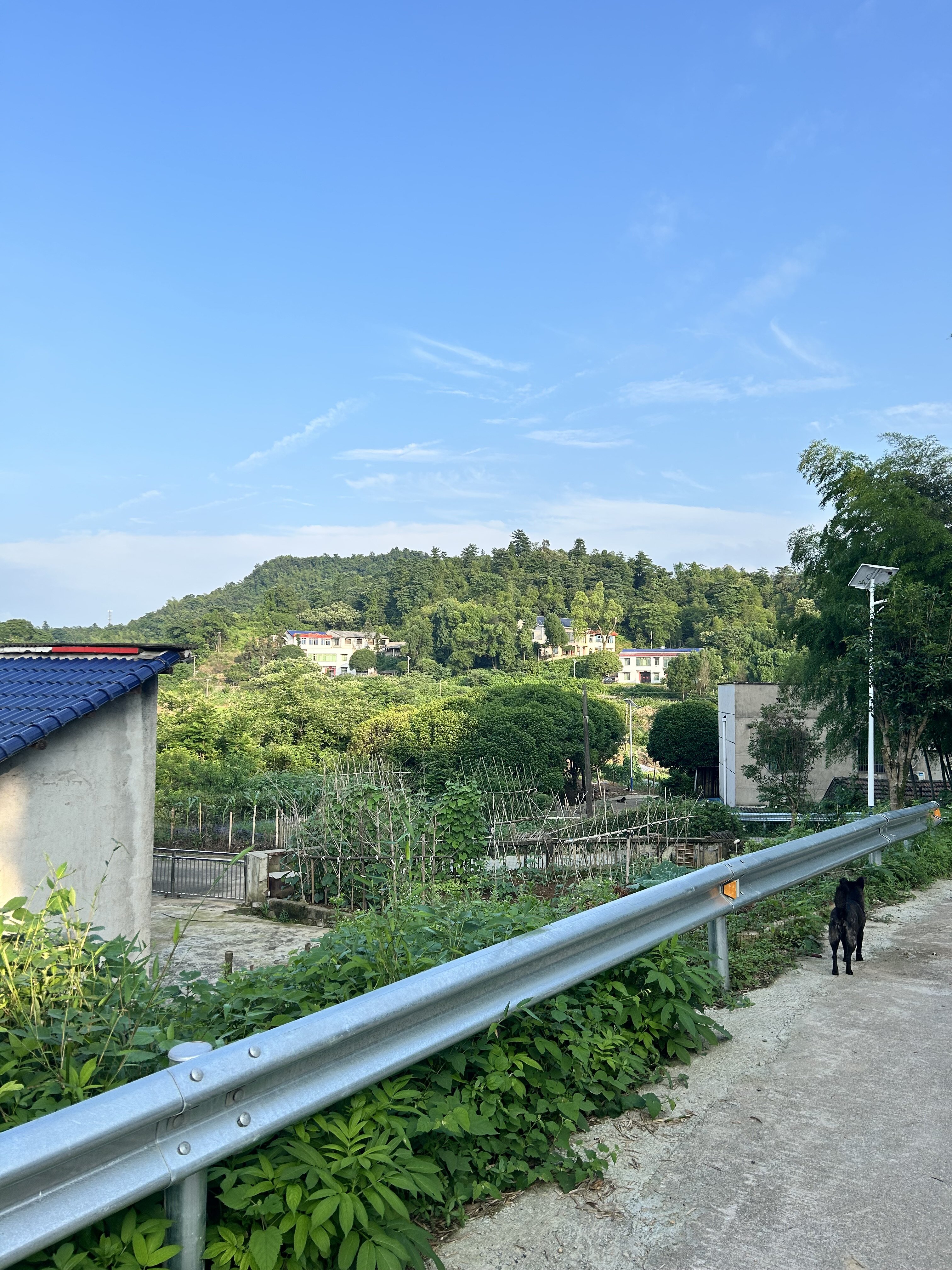 IMG 7481
