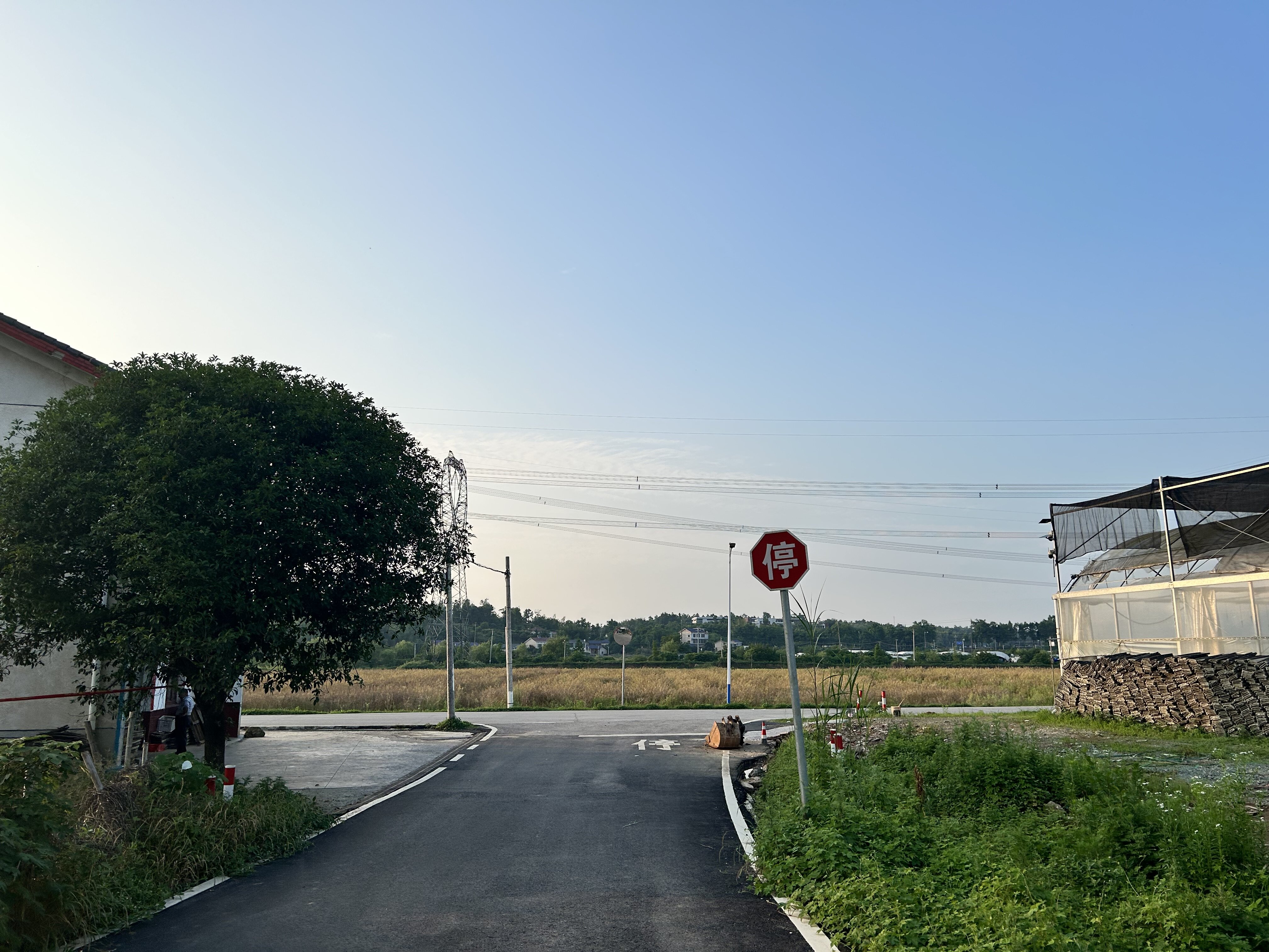 IMG 7488