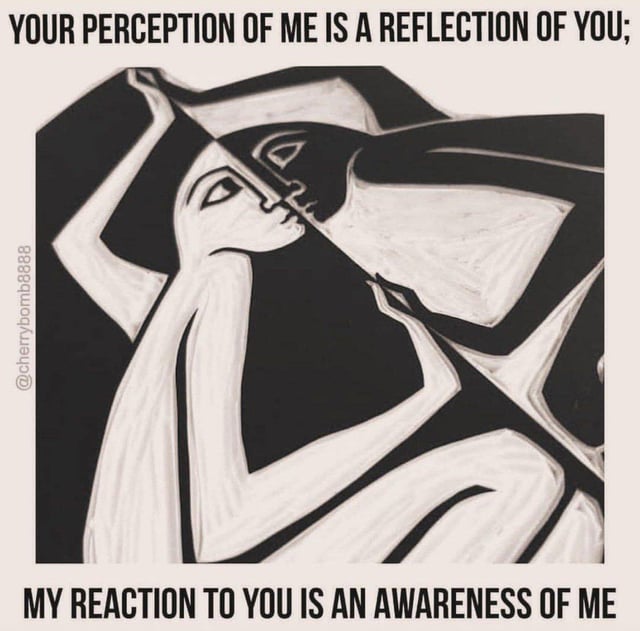 Jungian projection works both ways v0 oyfkvpuf8s8g1