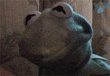 KermitRage