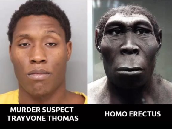 Murder suspect and homo erectus