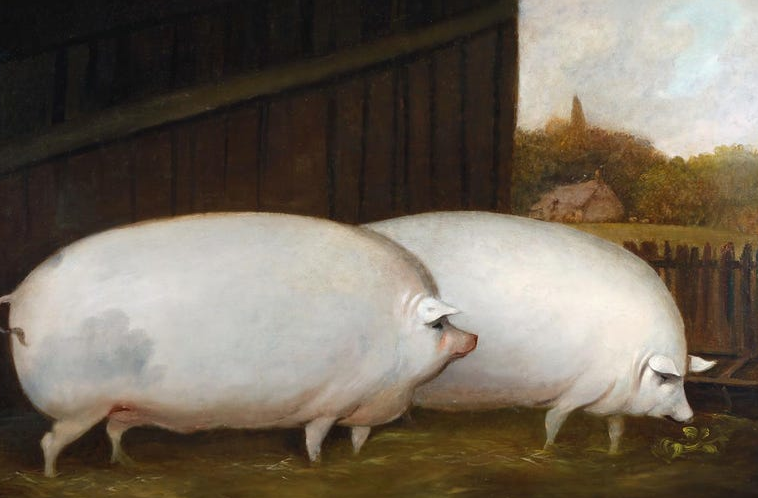 Pigs painting