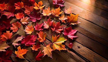 Pngtree autumn leaves on wood image 16379261 1294459822