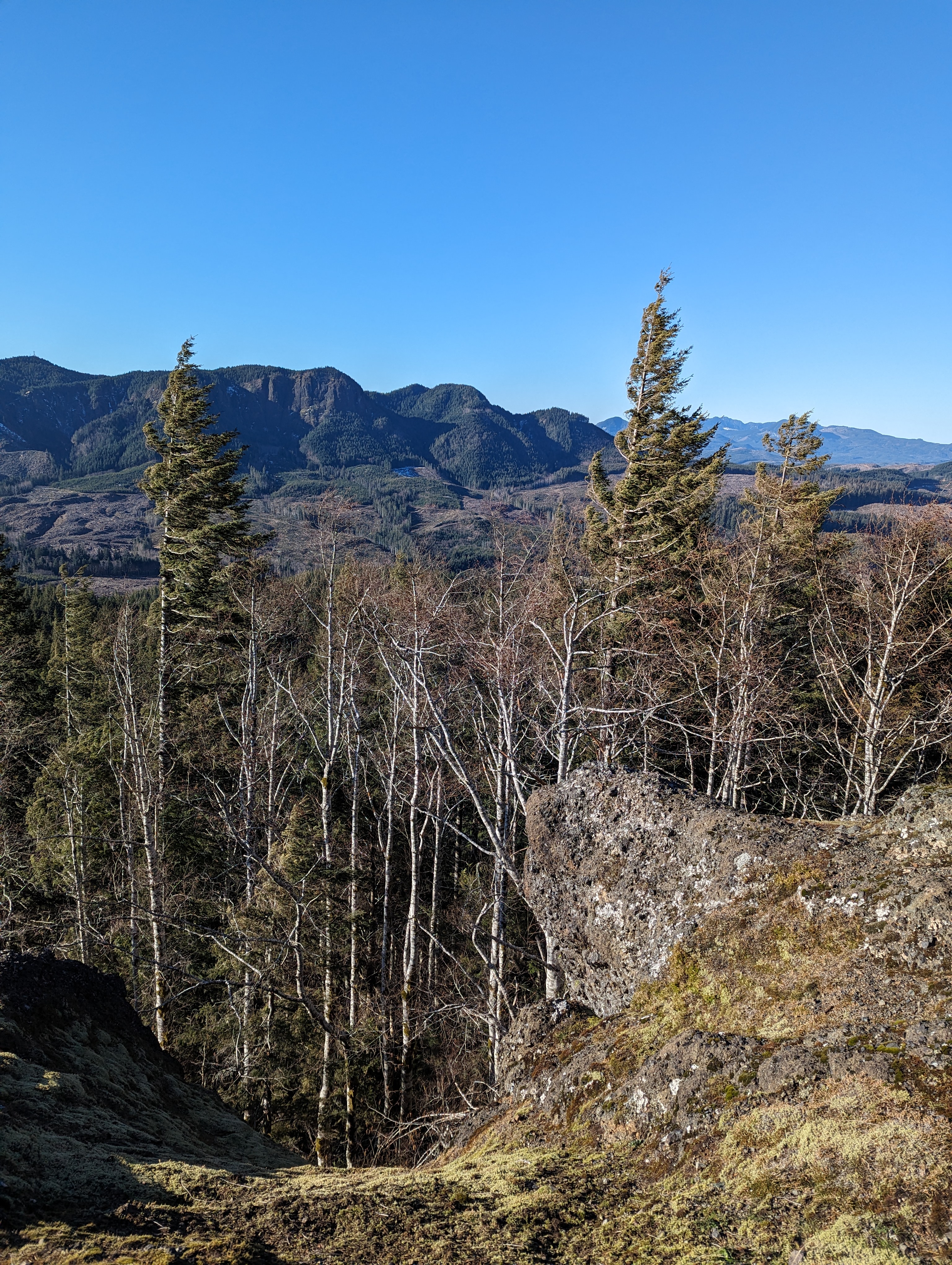 PXL 20240316 164026678