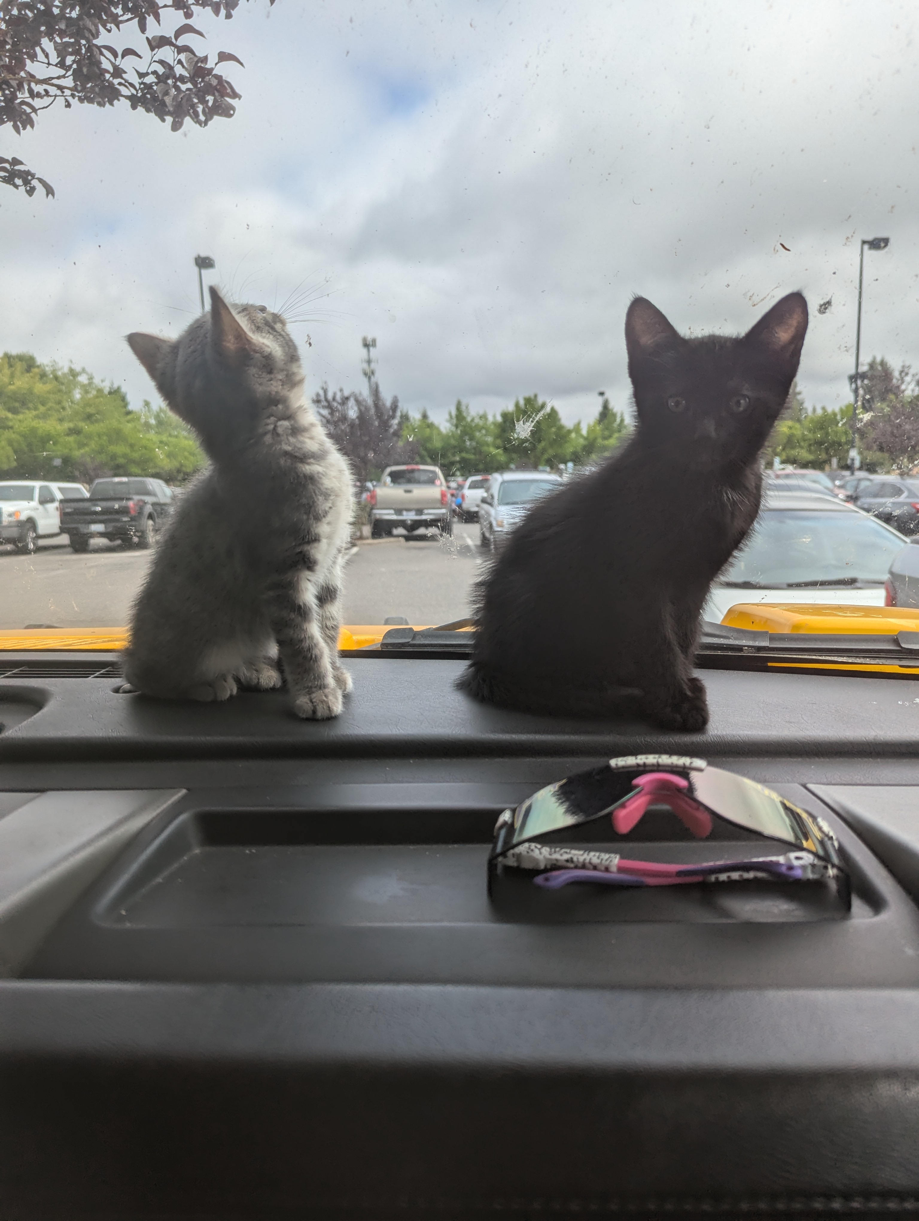 PXL 20250802 172356199