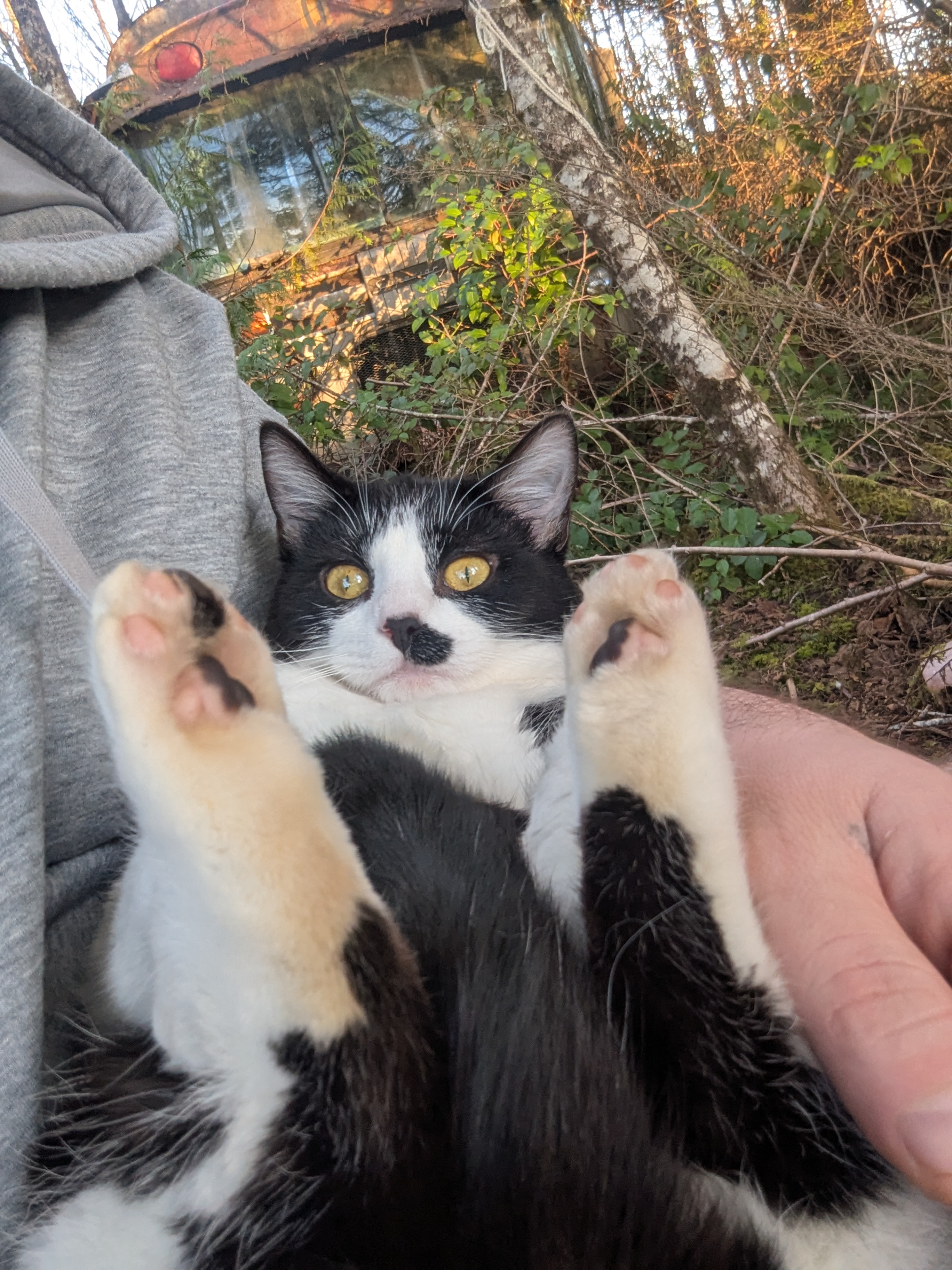 PXL 20260206 004855146