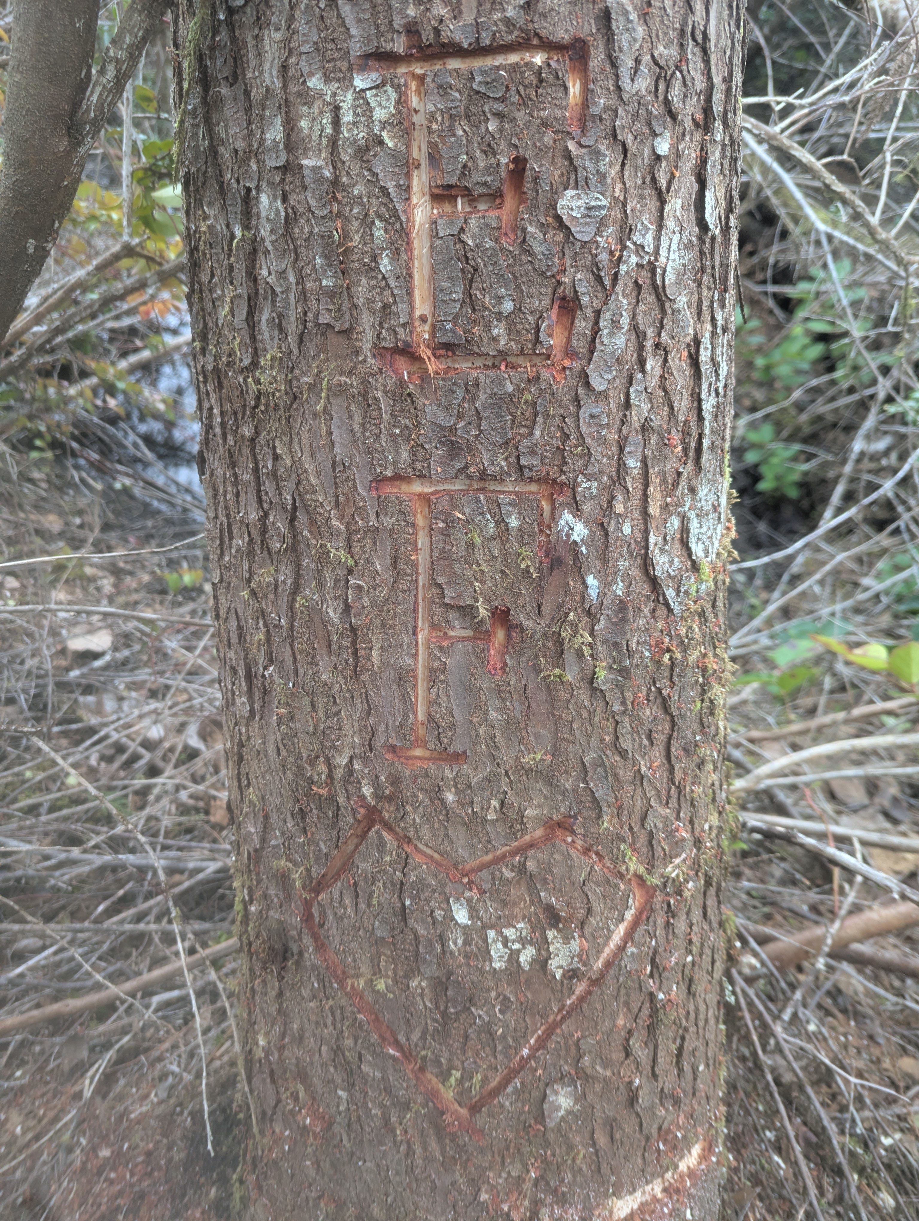 PXL 20260212 224418261