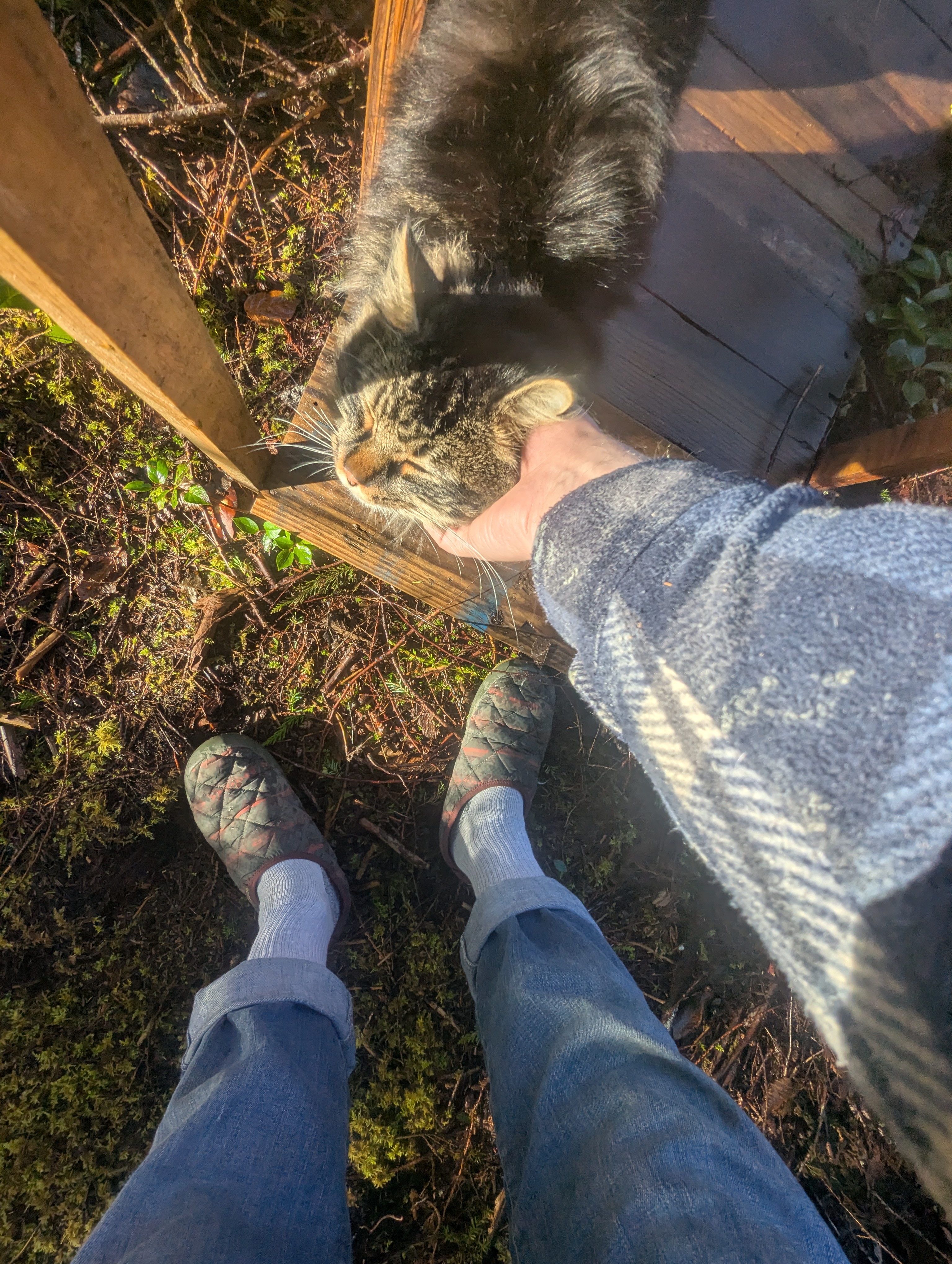 PXL 20260214 180210984