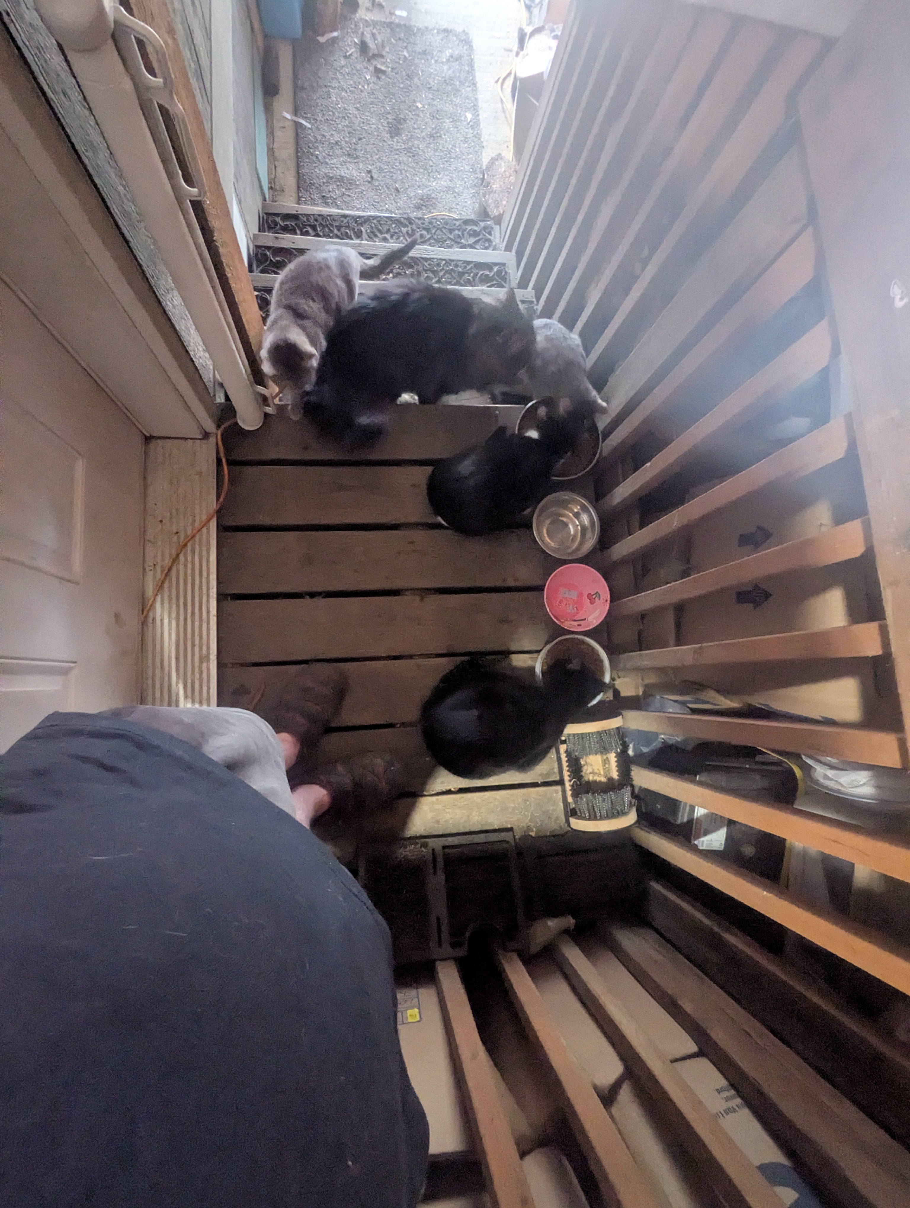 PXL 20260216 185444084