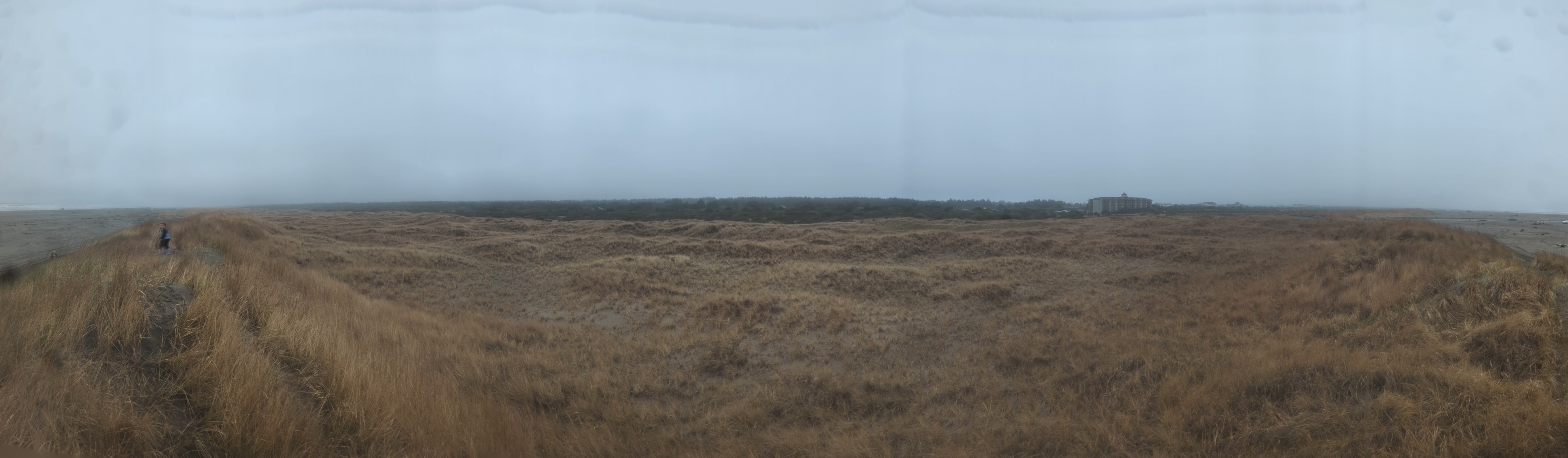 PXL 20260308 004019147PANO