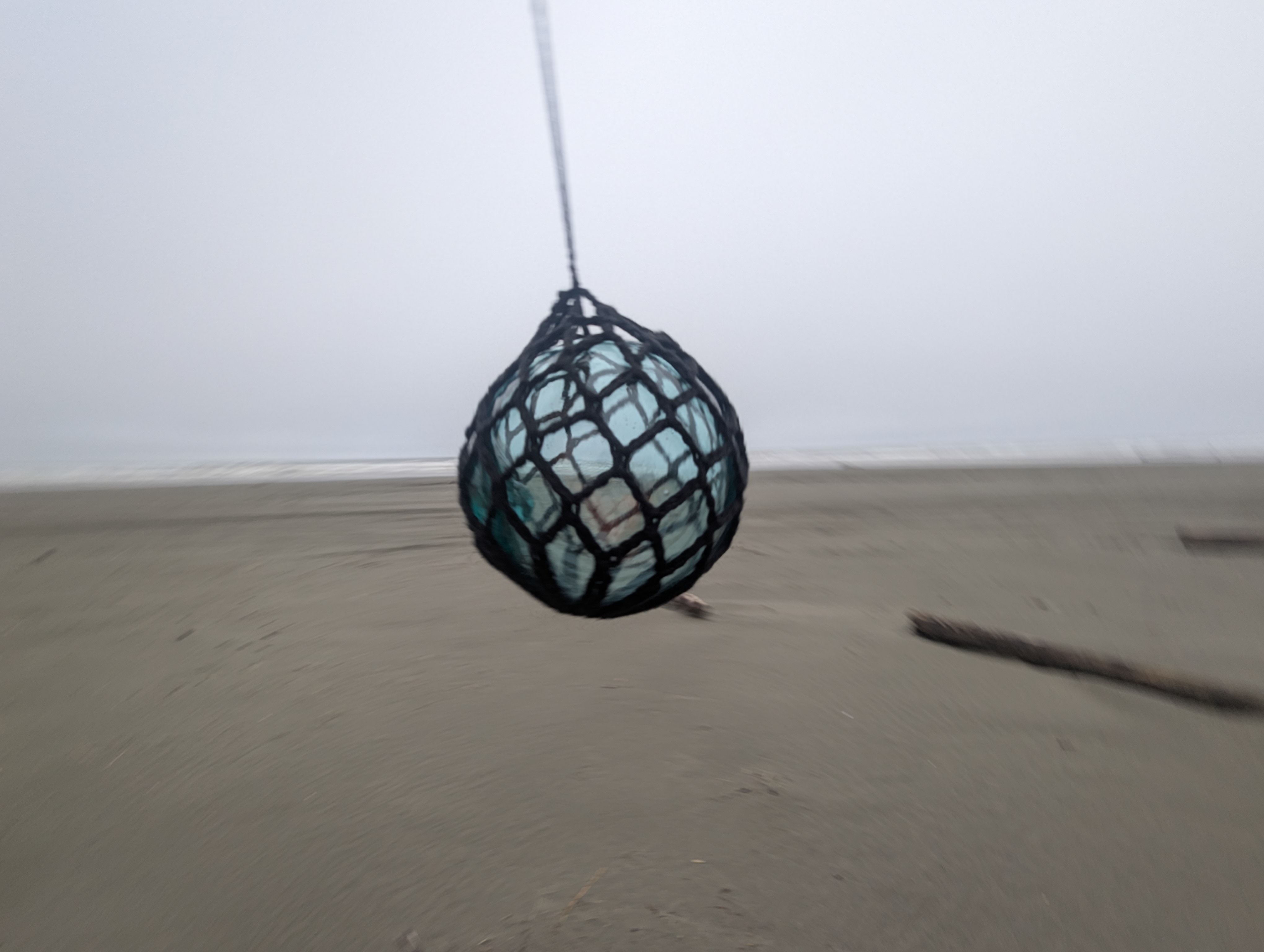 PXL 20260308 011129911ACTION PAN 01COVER