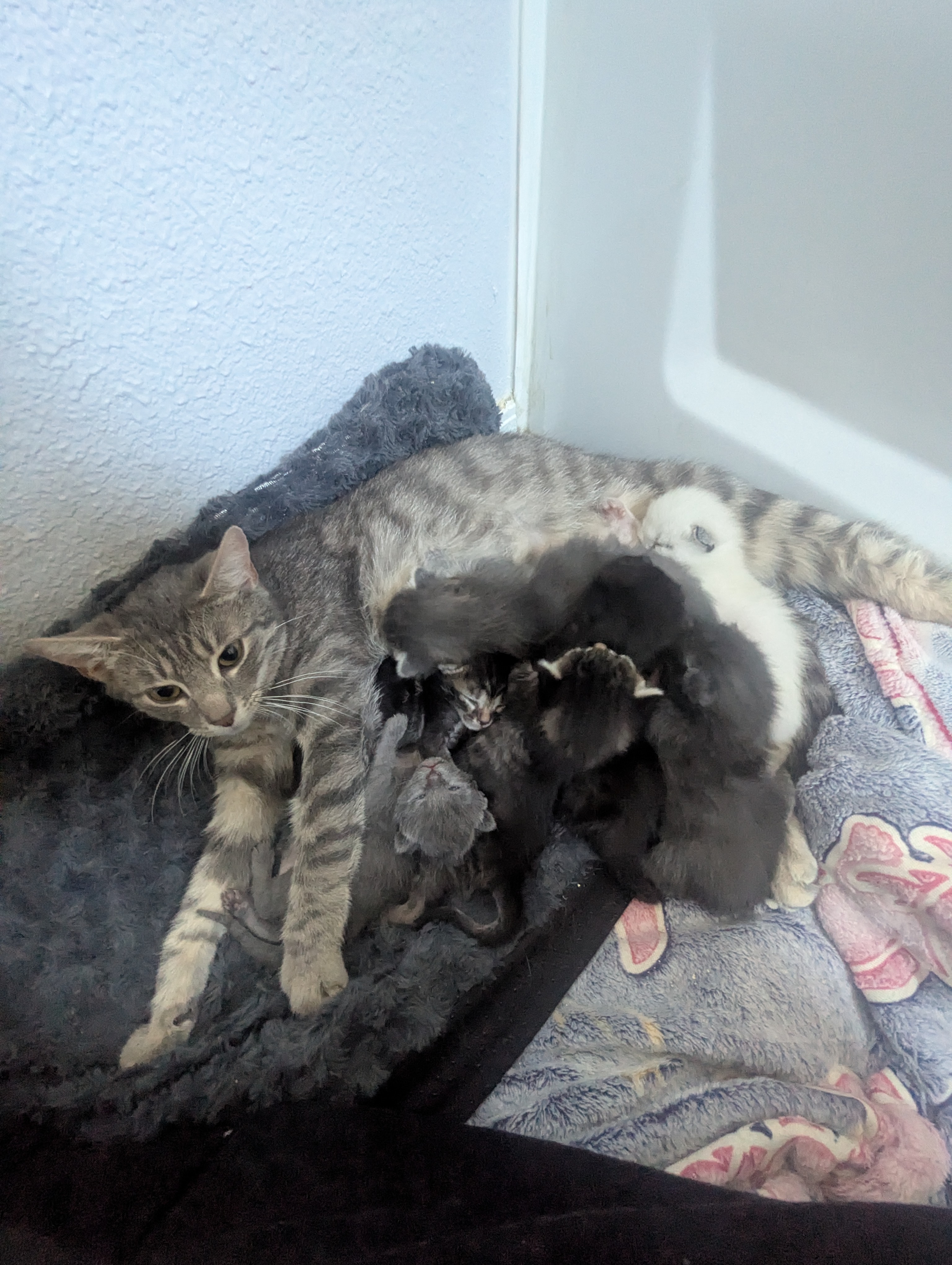 PXL 20260330 195415073