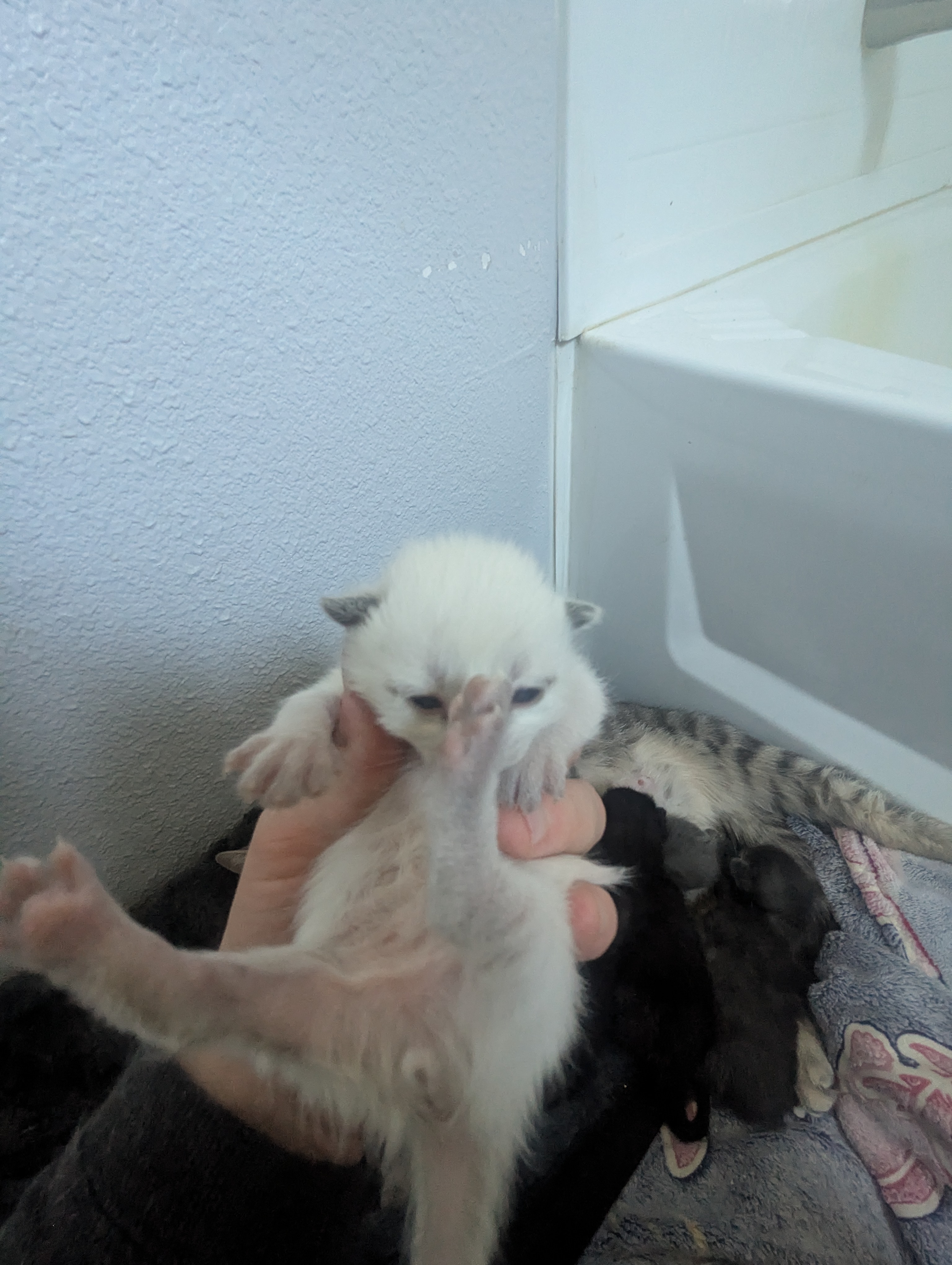 PXL 20260330 195422803