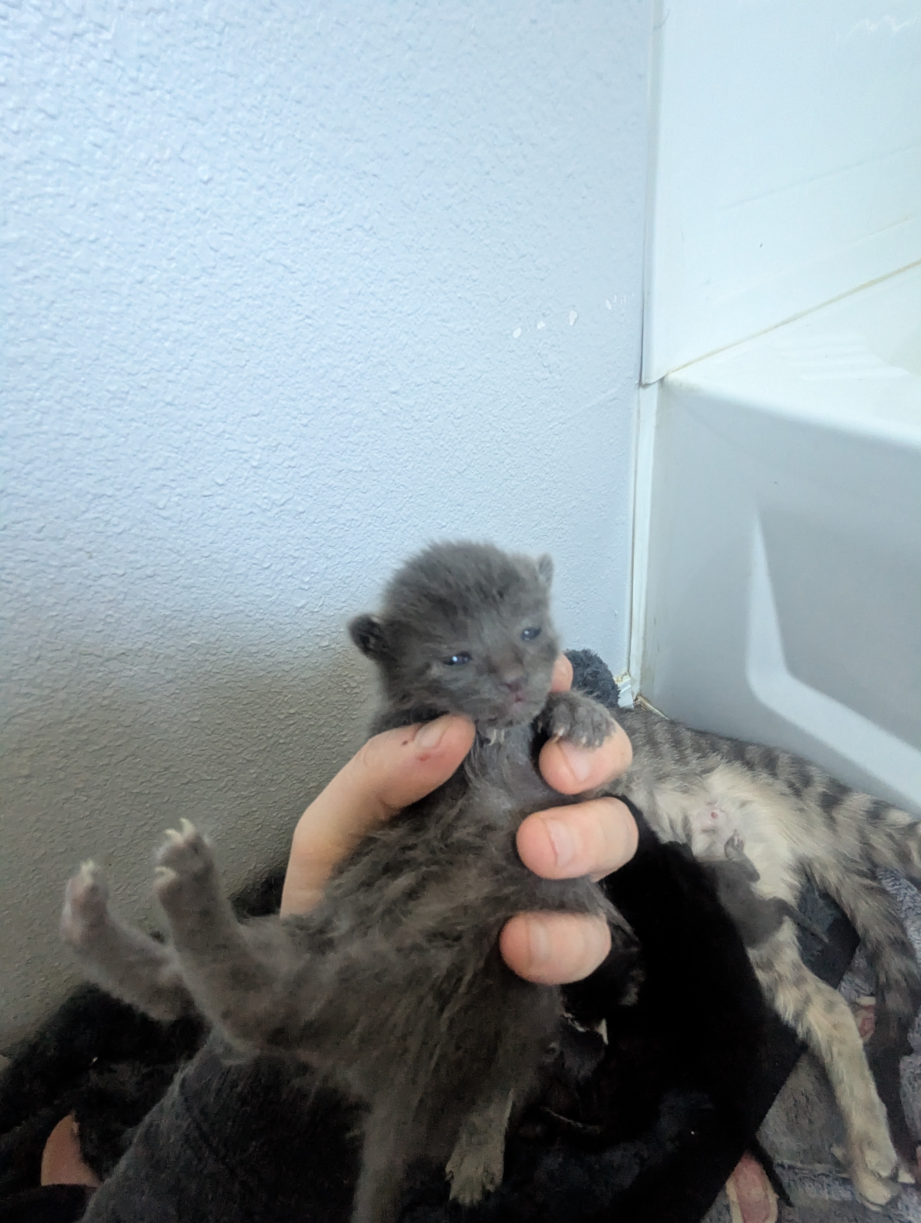 PXL 20260330 195428862