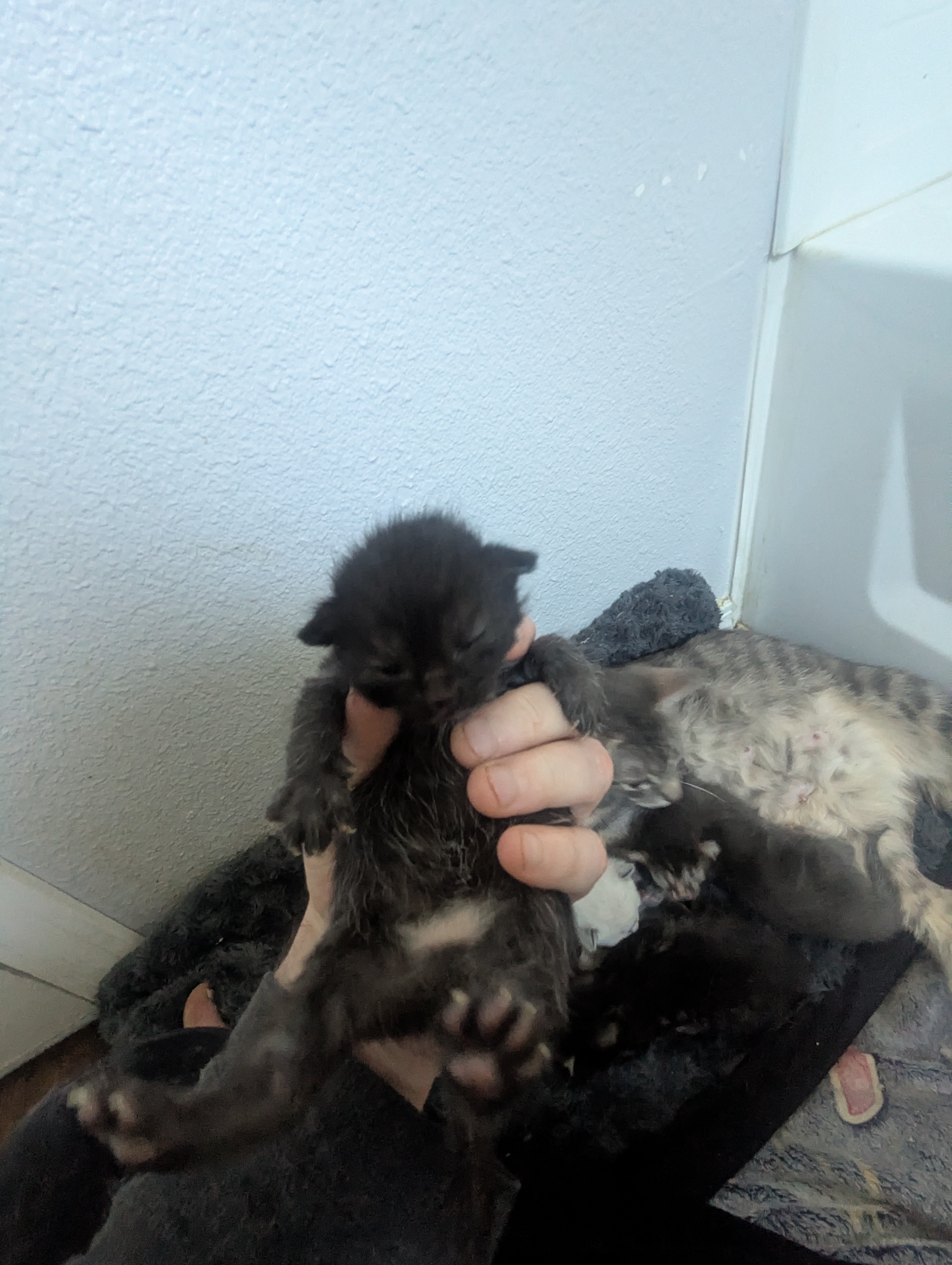 PXL 20260330 195433996