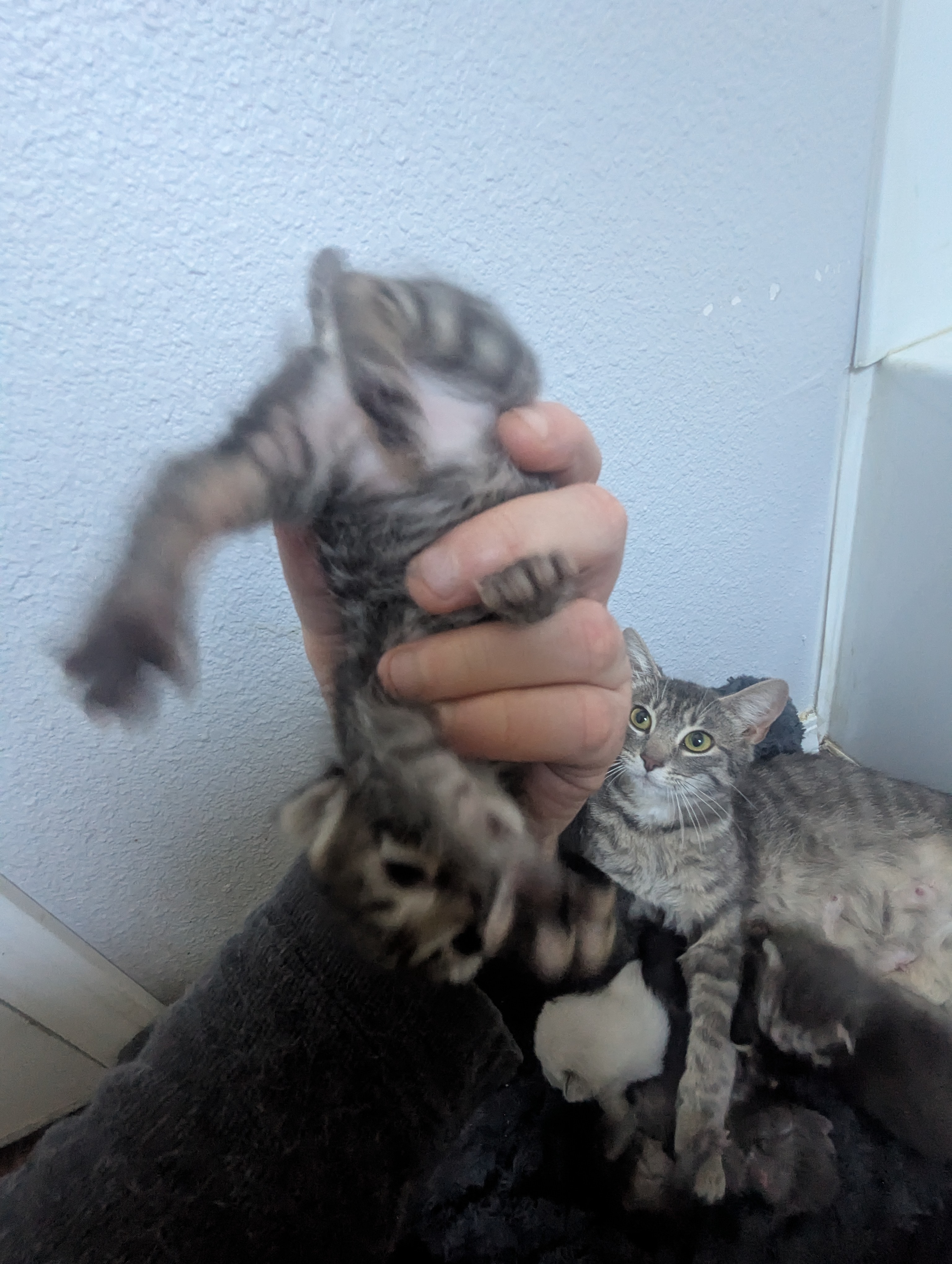 PXL 20260330 195439179