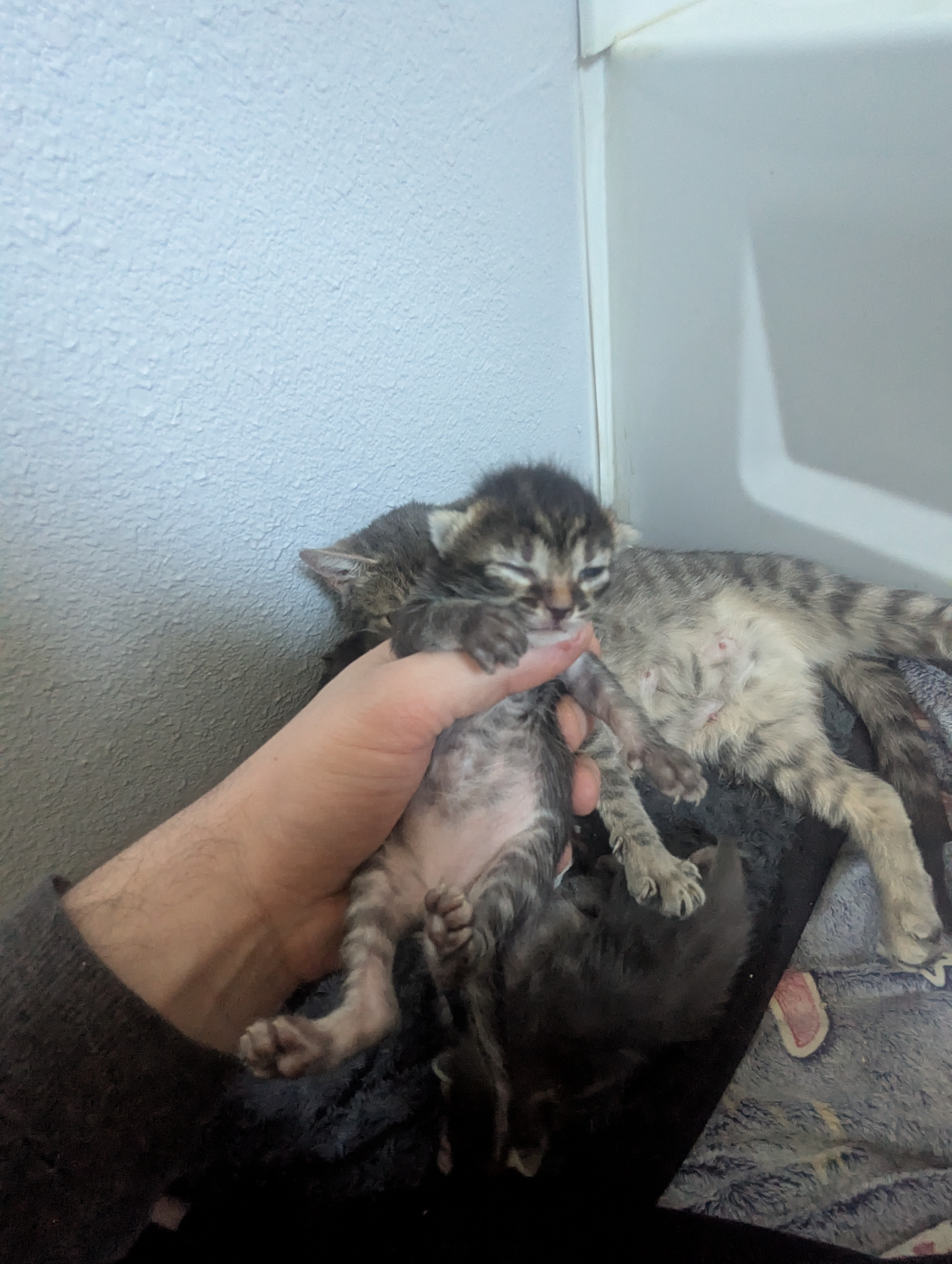 PXL 20260330 195446099