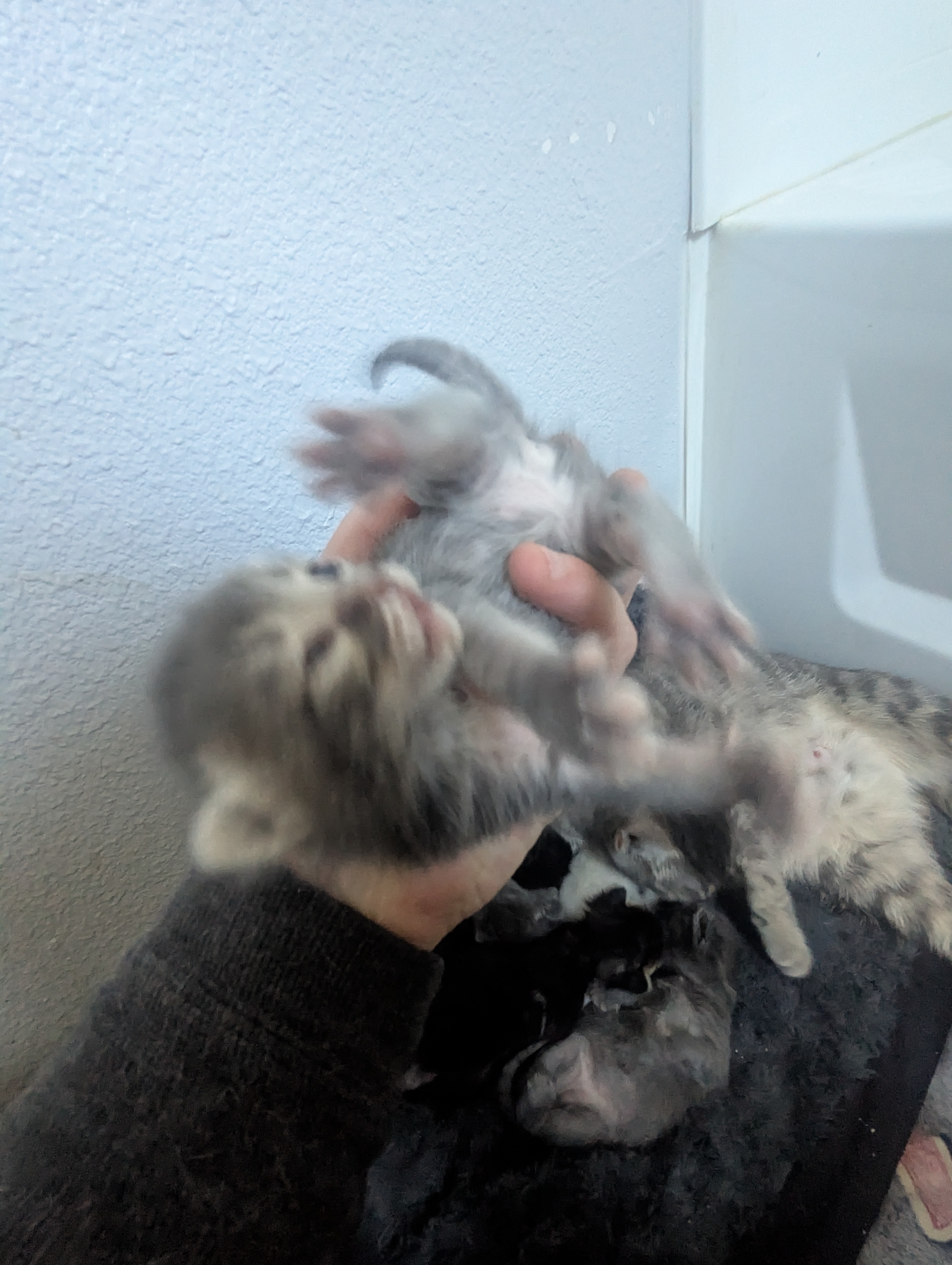 PXL 20260330 195452790