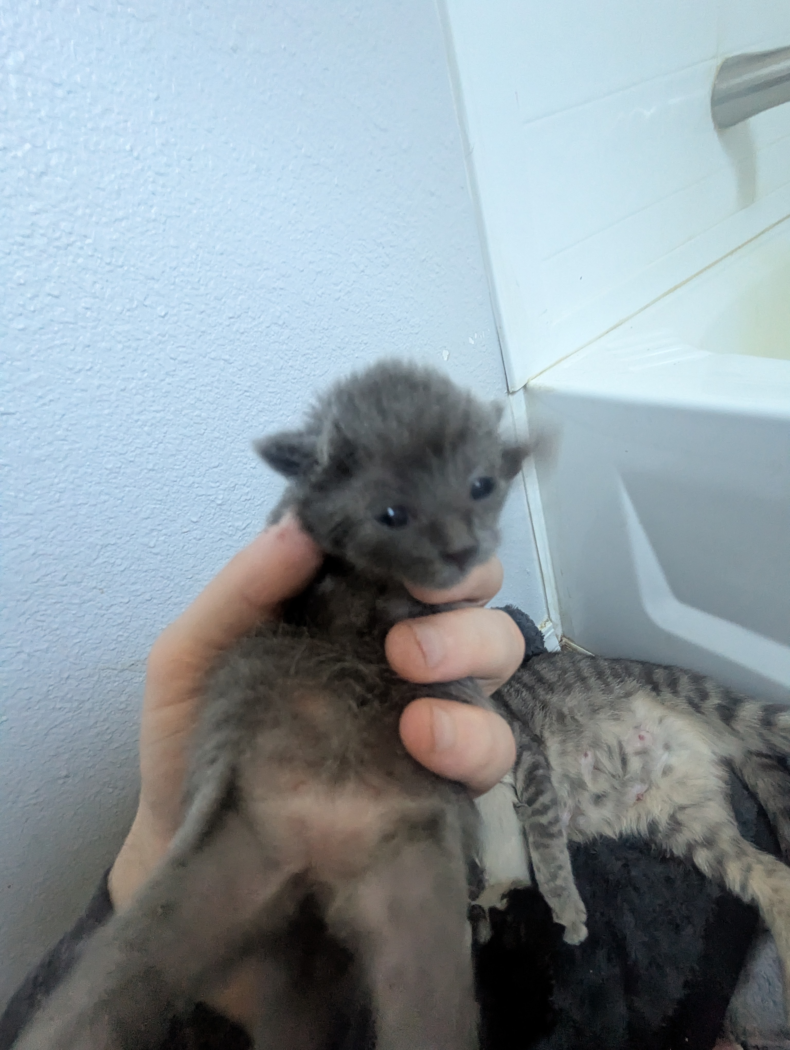 PXL 20260330 195501250