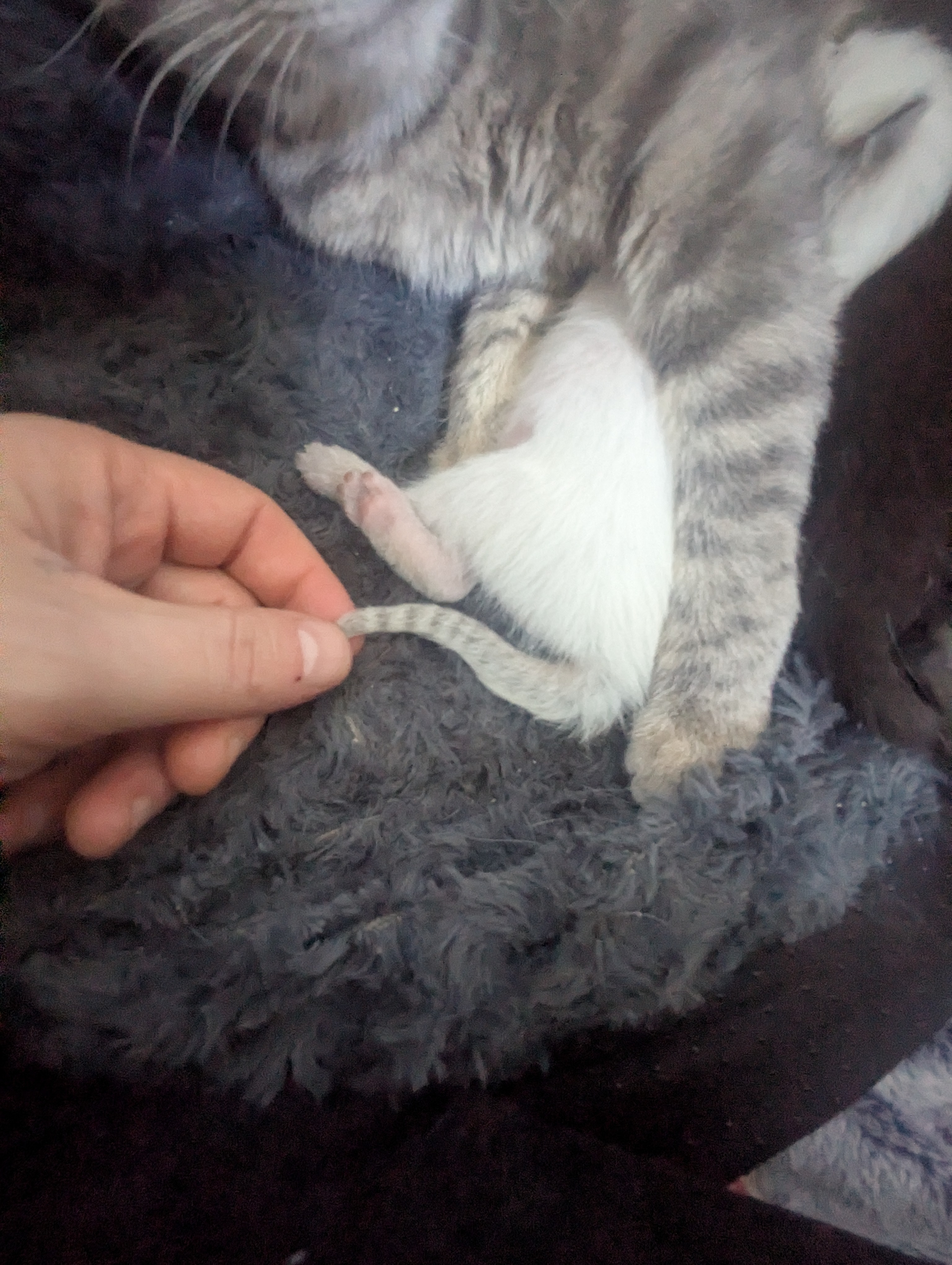 PXL 20260330 200042642