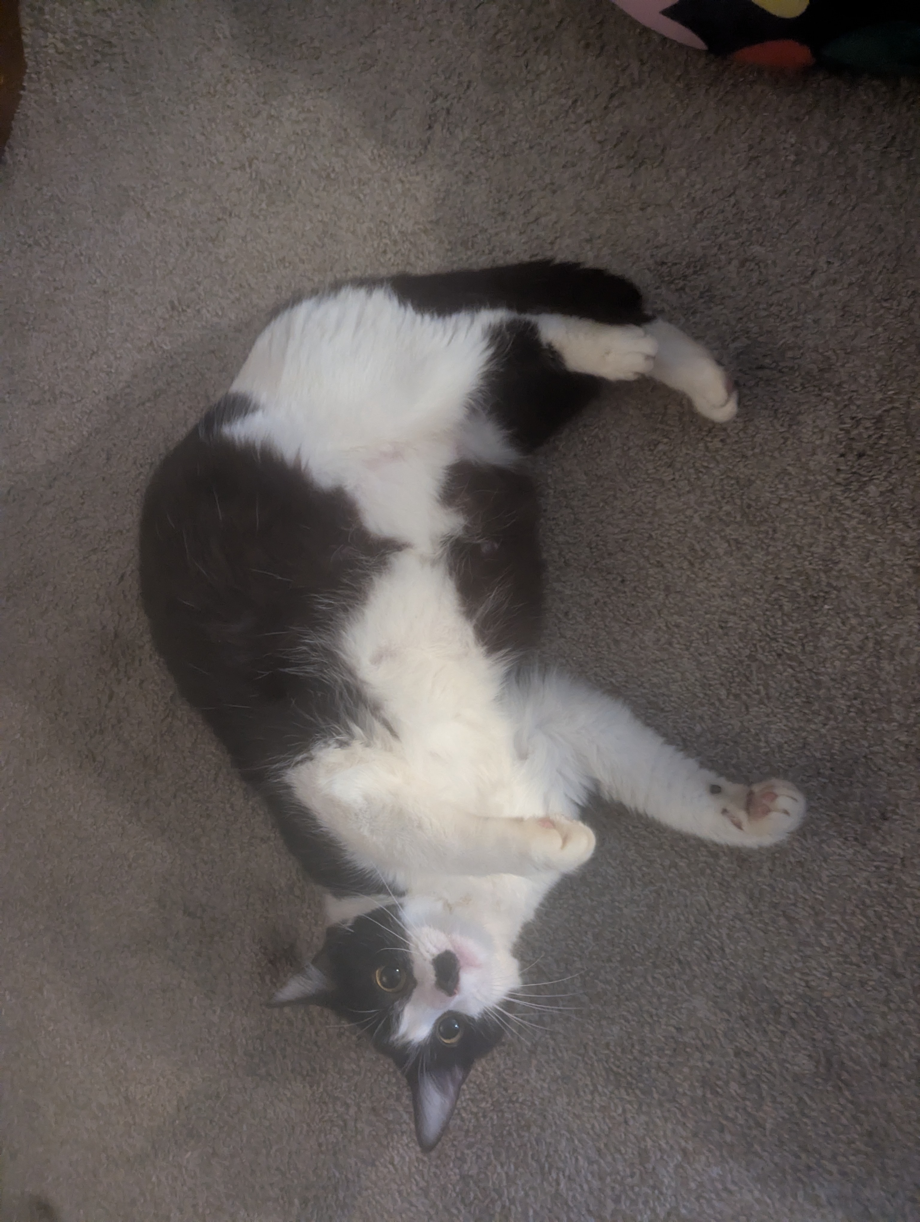 PXL 20260403 201844063