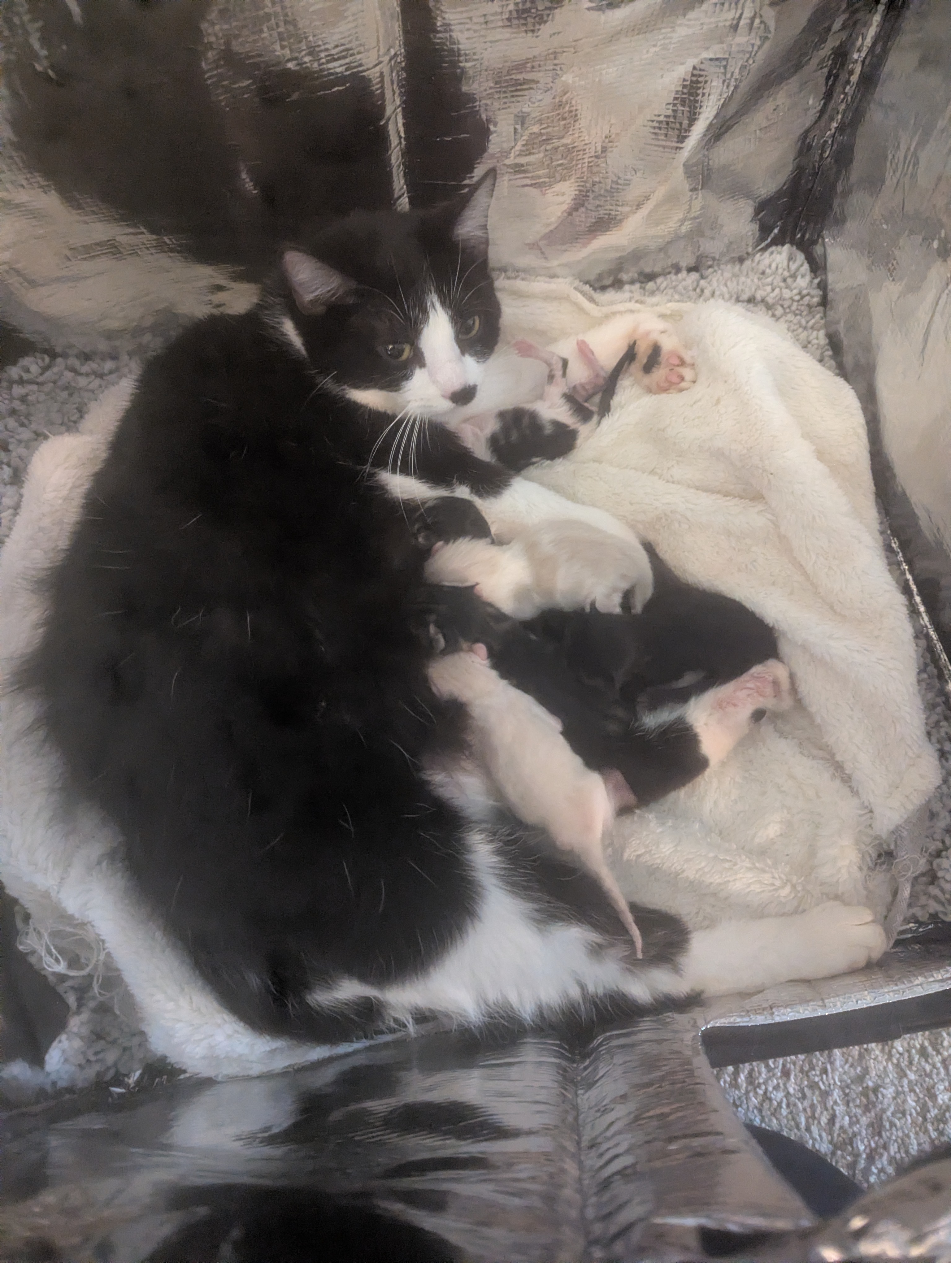 PXL 20260405 191829635